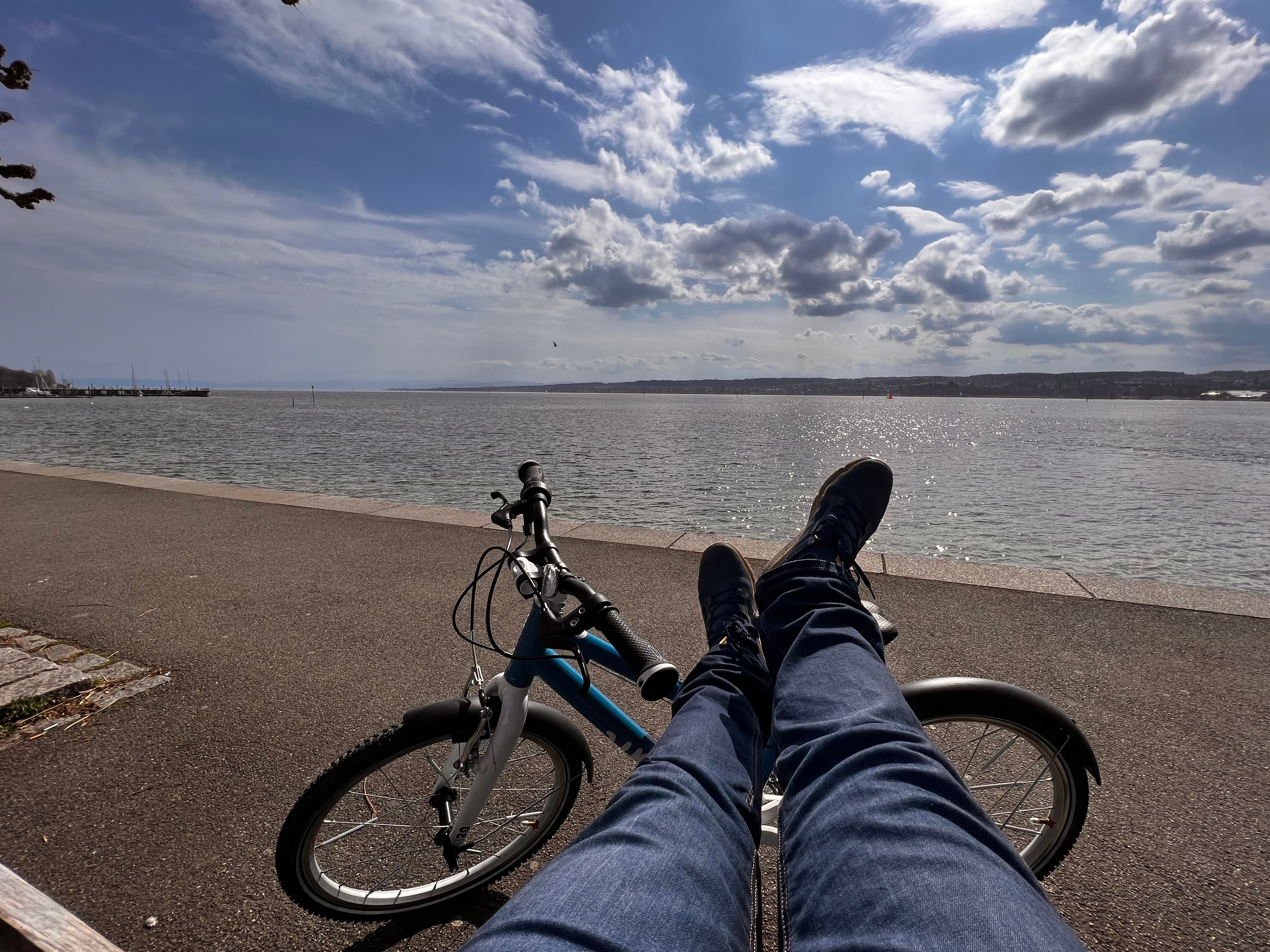 How cycling in Konstanz could look like.