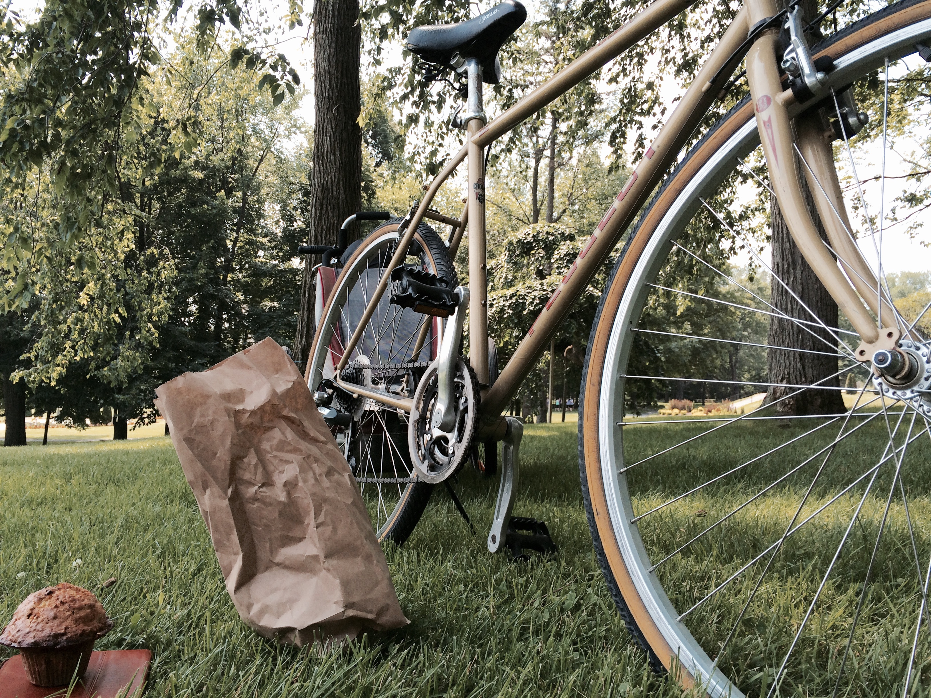 How cycling in Québec could look like.