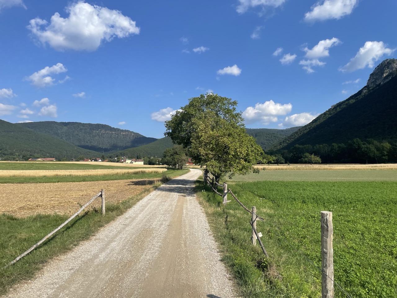 How cycling in Ternitz could look like.