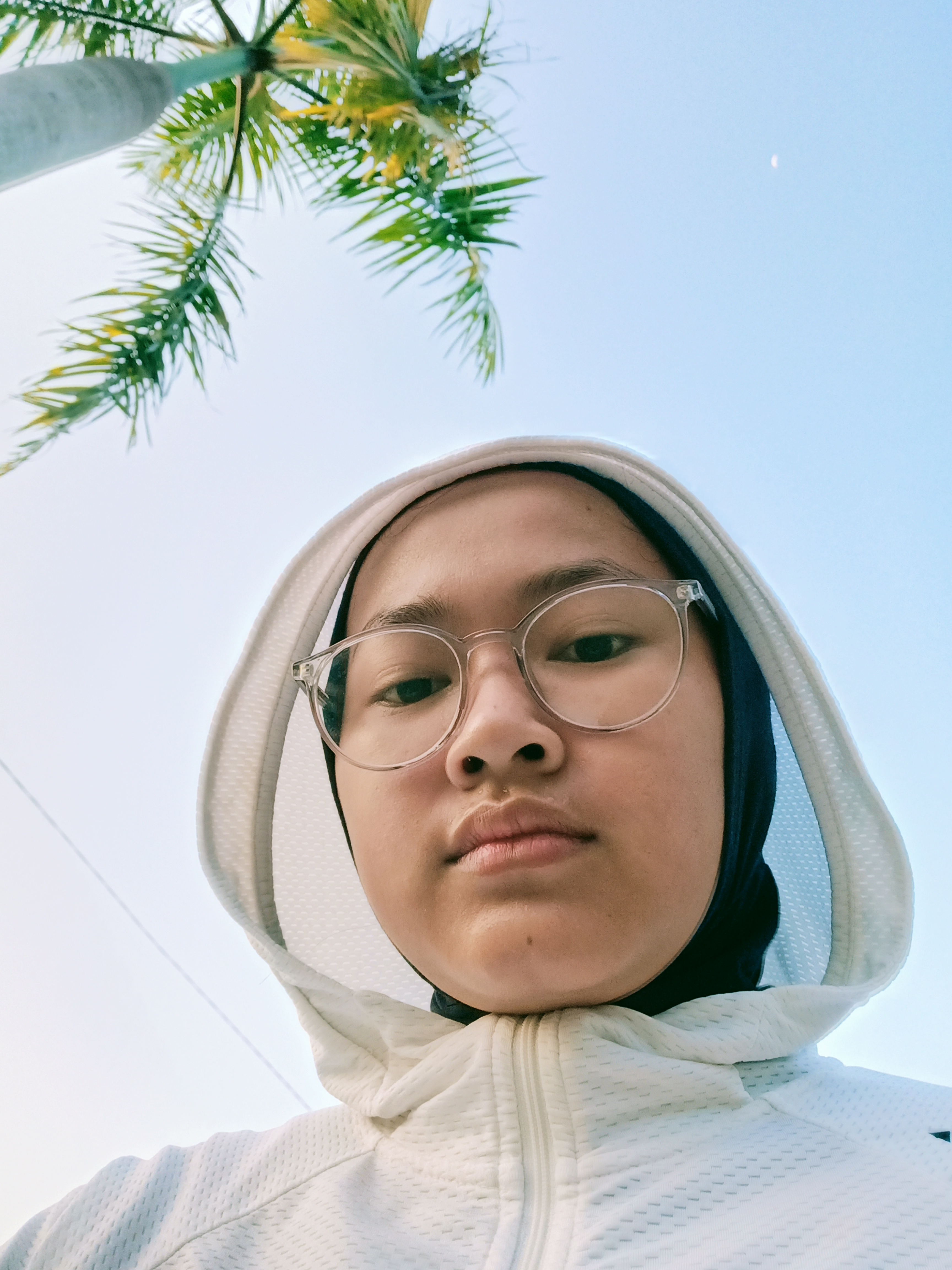 Bintangdibumi
