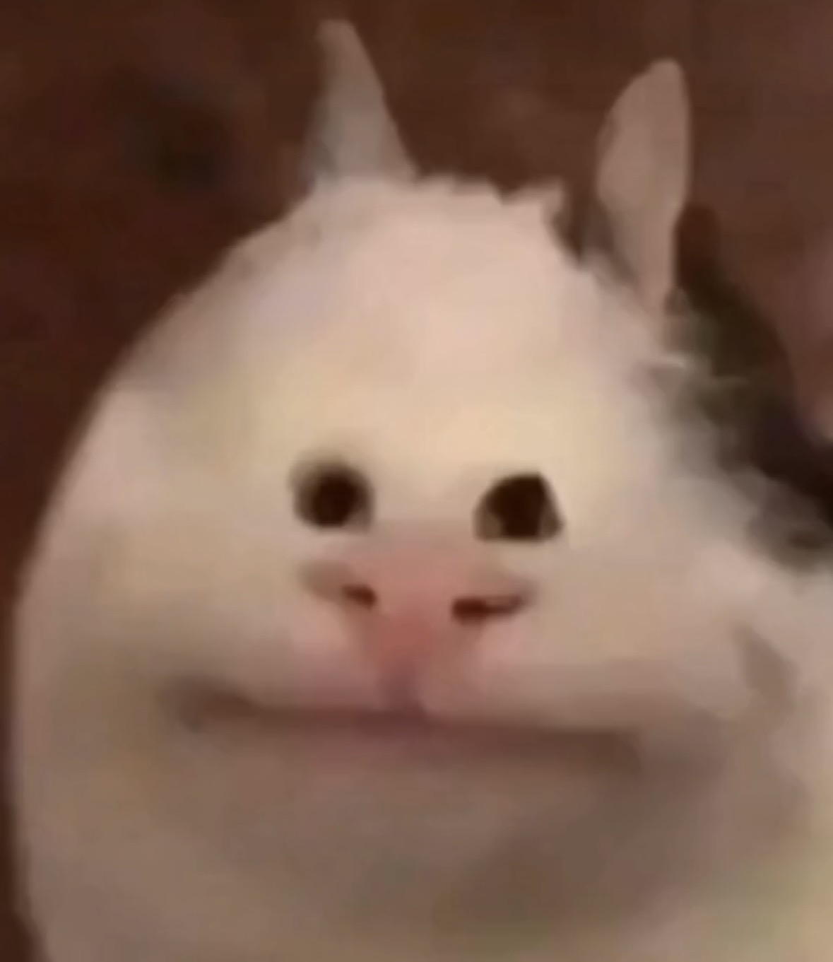 B...31