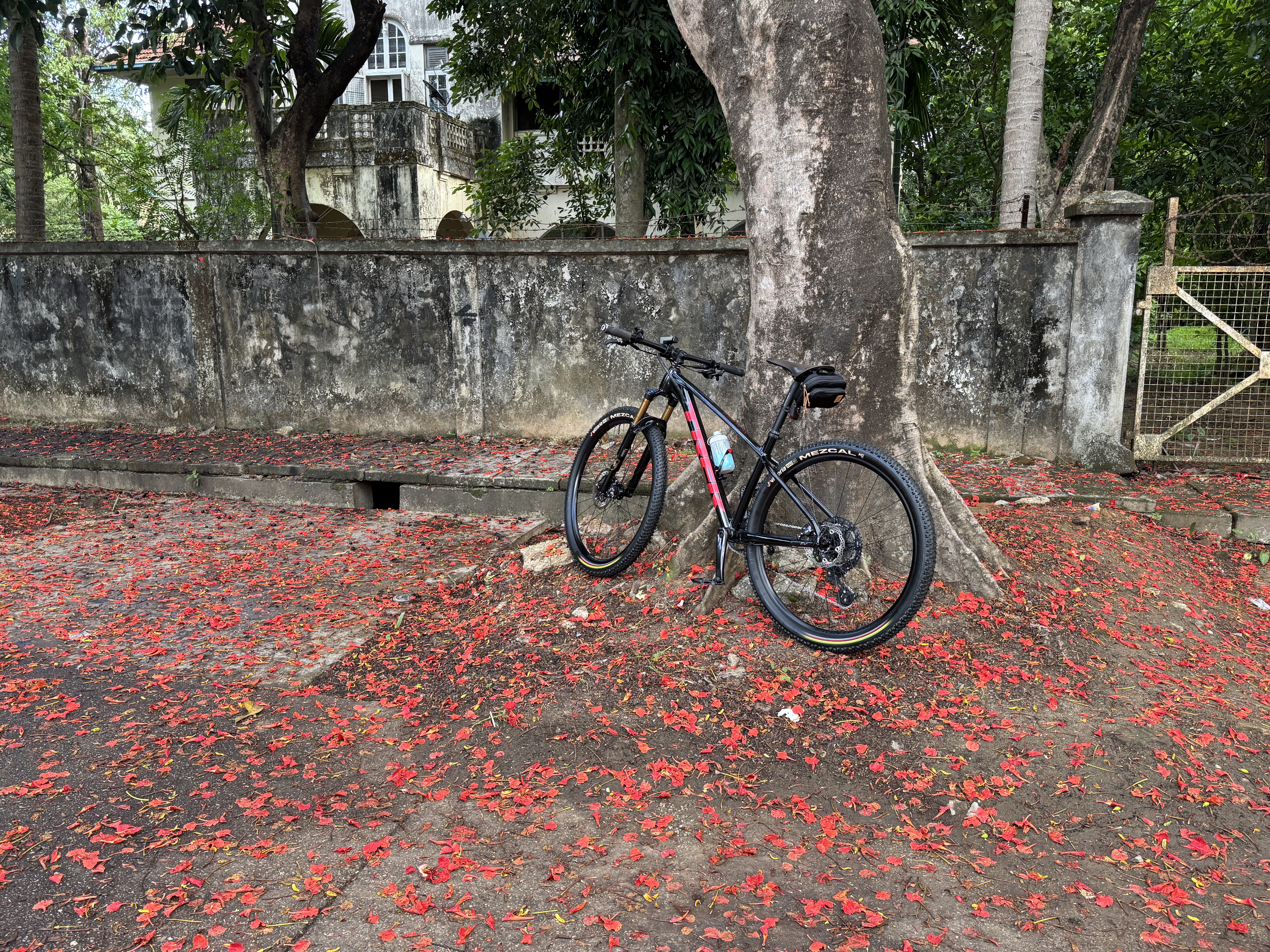 Zaw Zaw