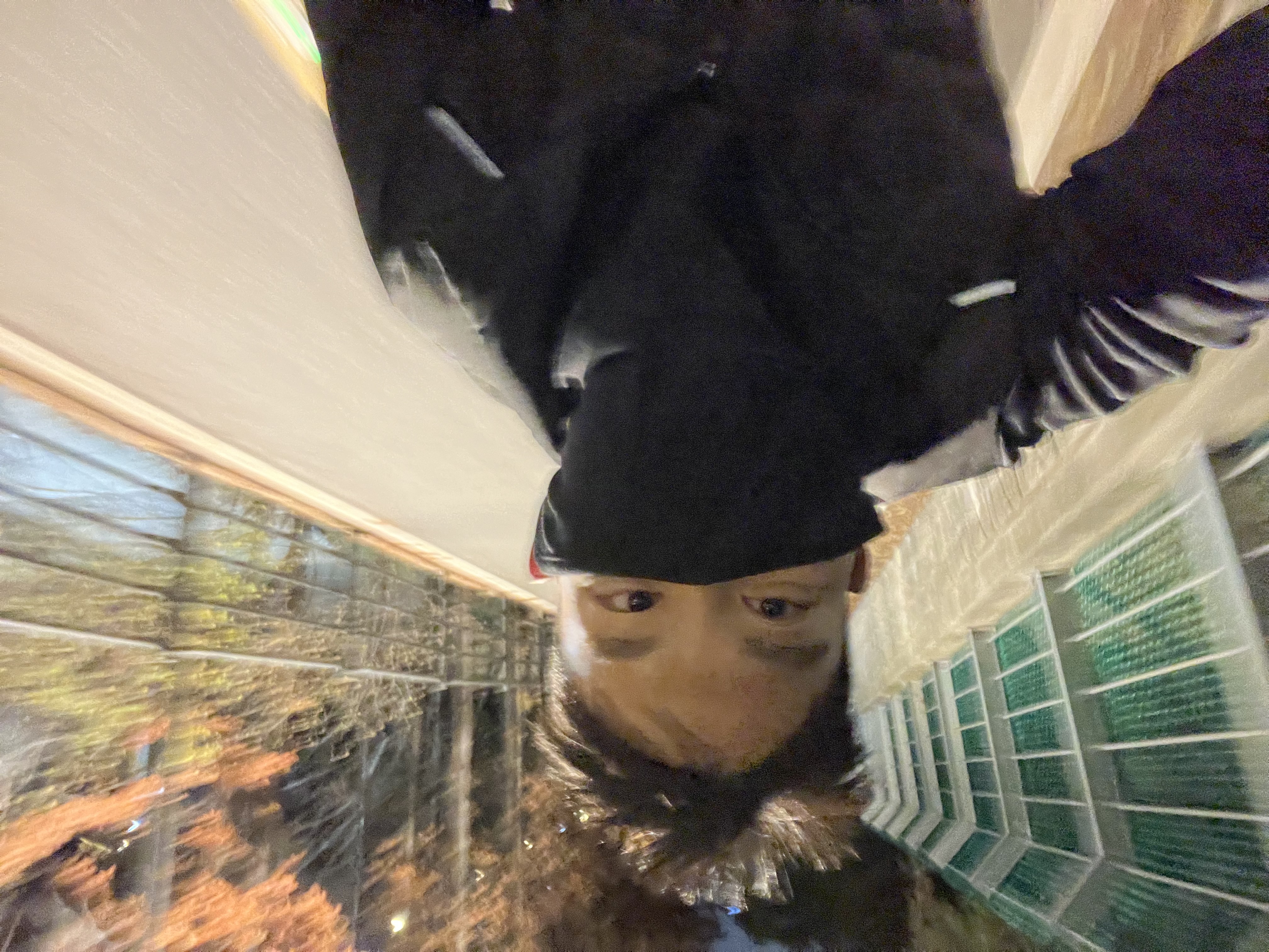 상현 배