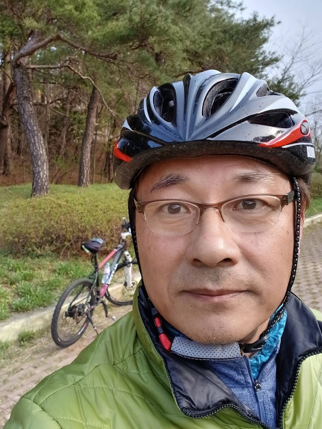 언덕위소나무