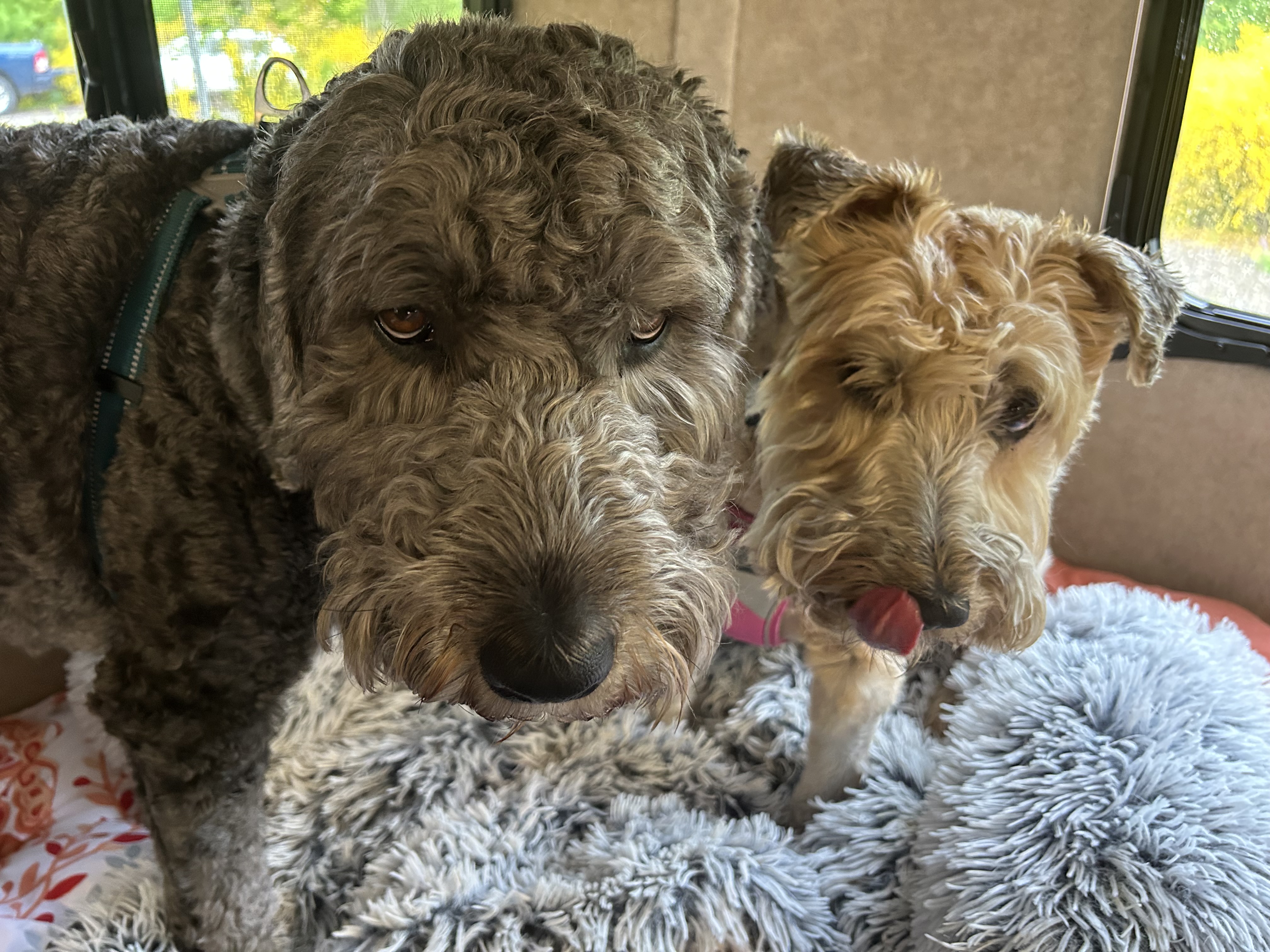 bikemapuser6191507170006361