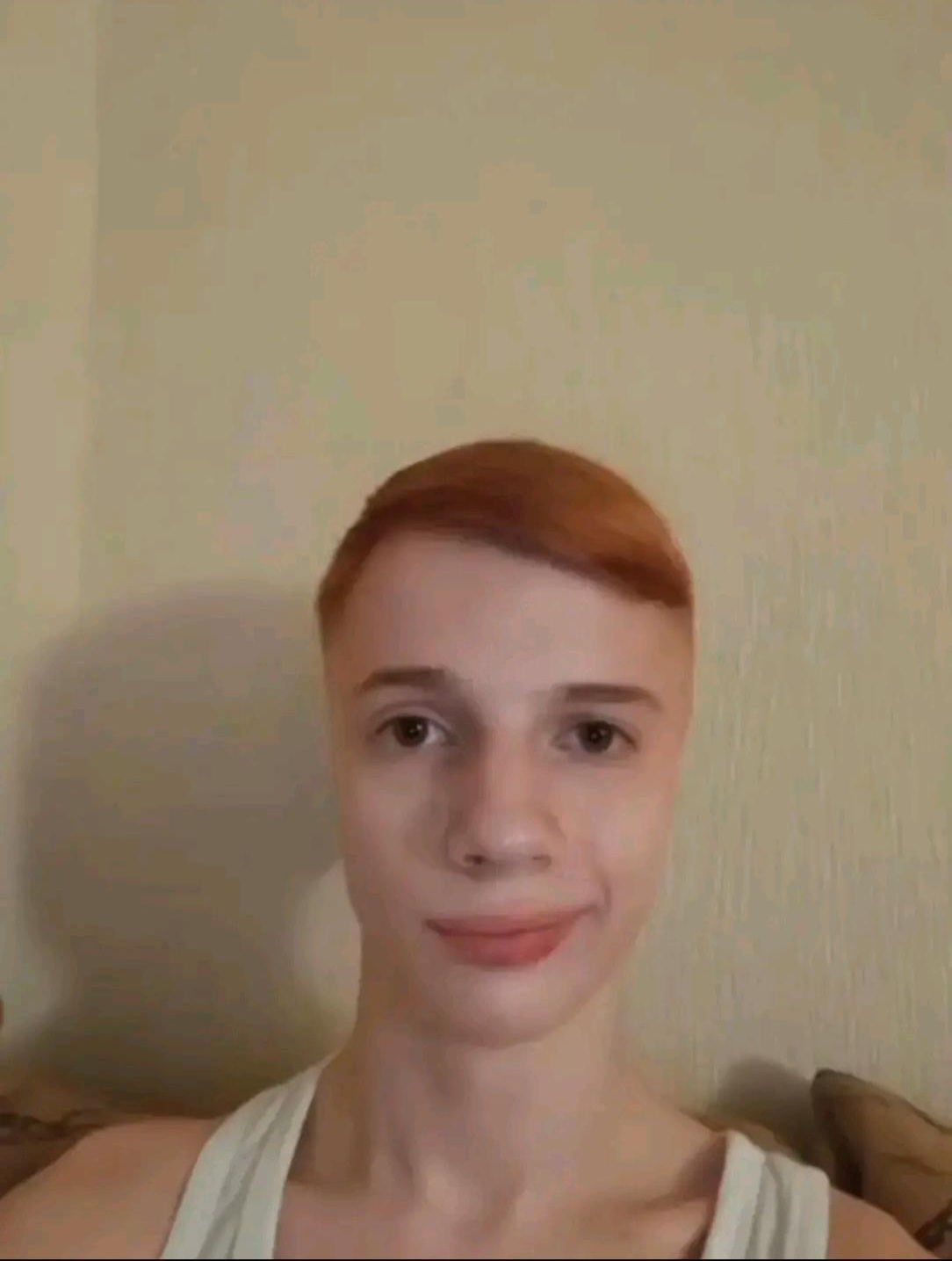 plesnivysyr