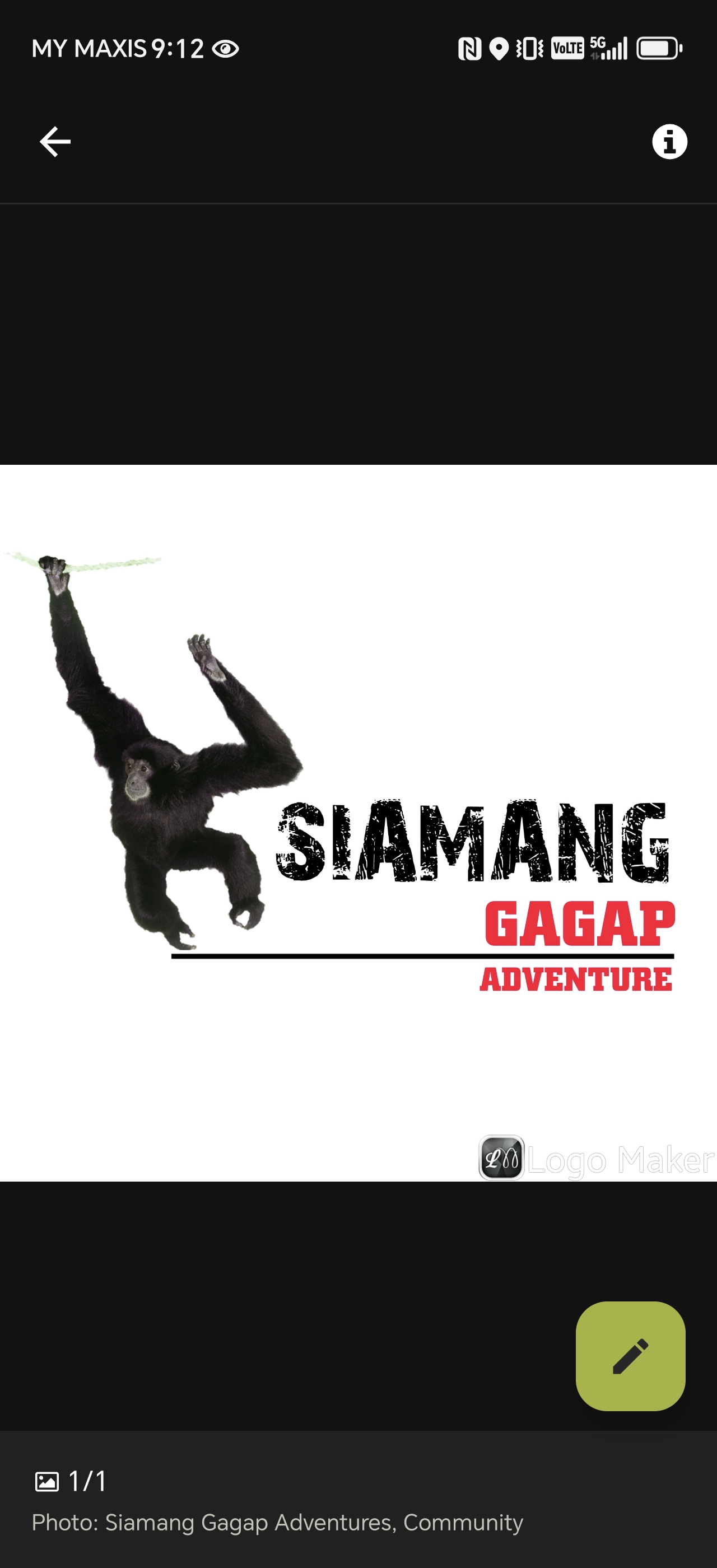 Siamang Gagap