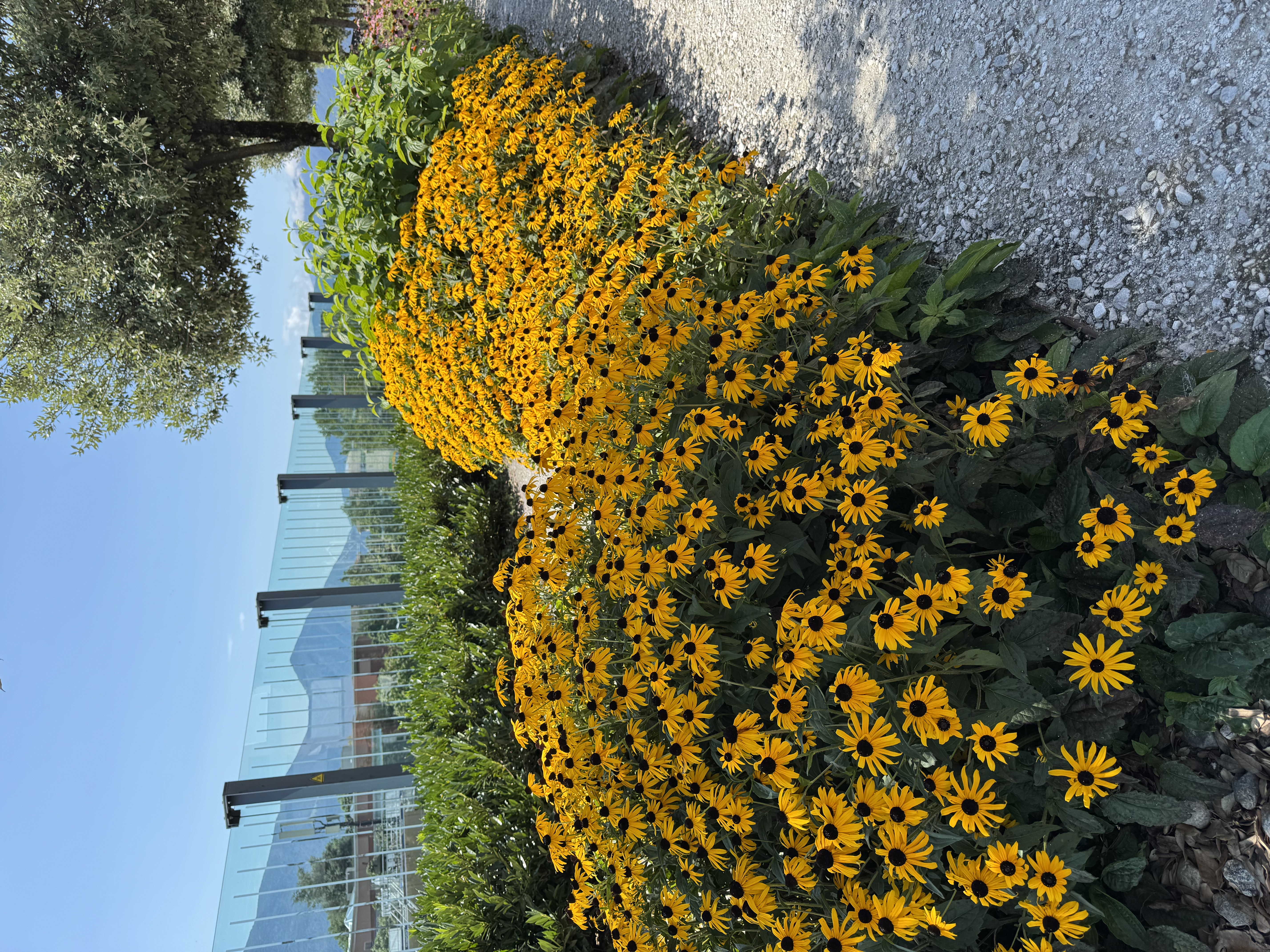 bikemapuser2923428974709536