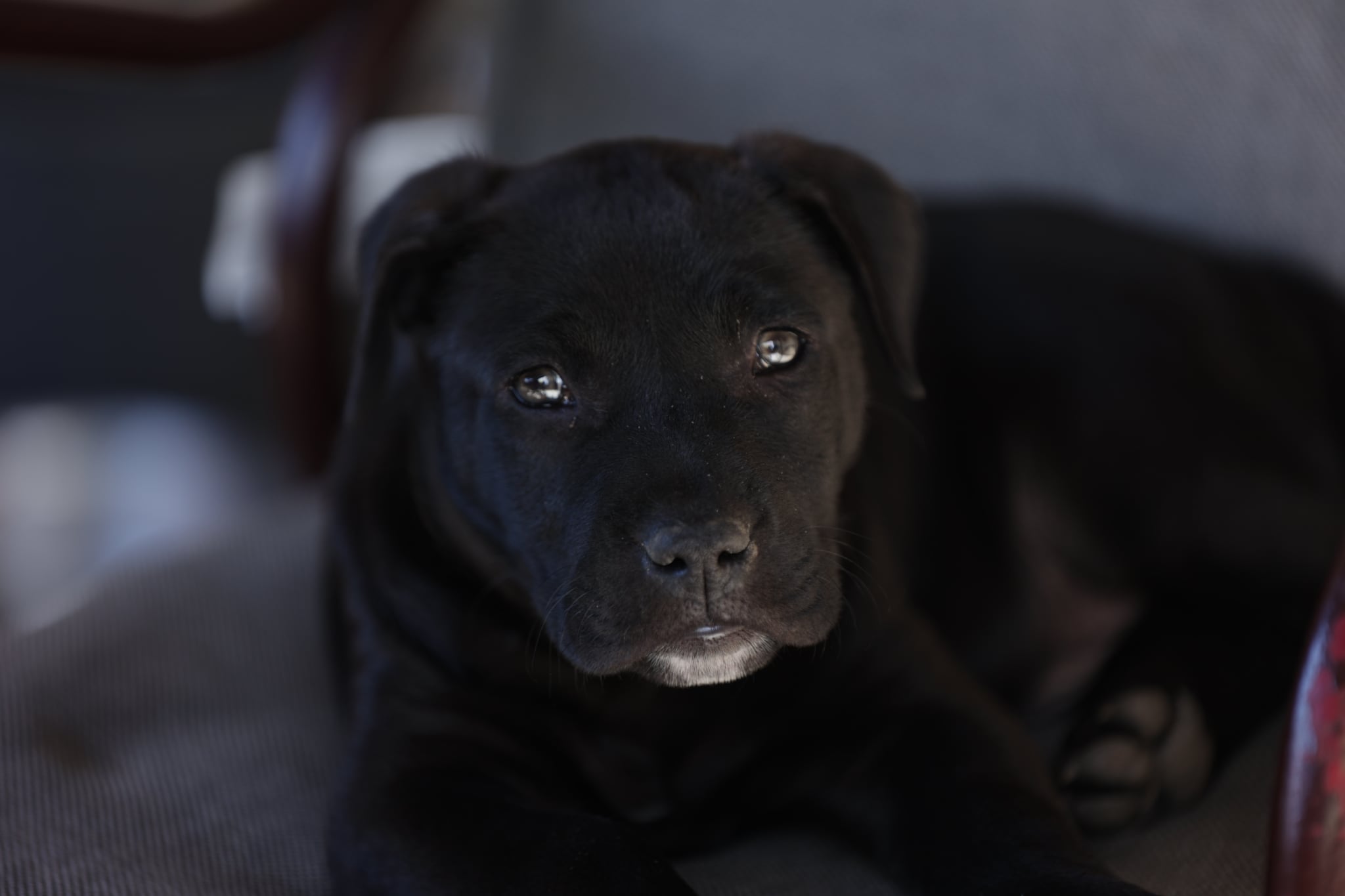 milos