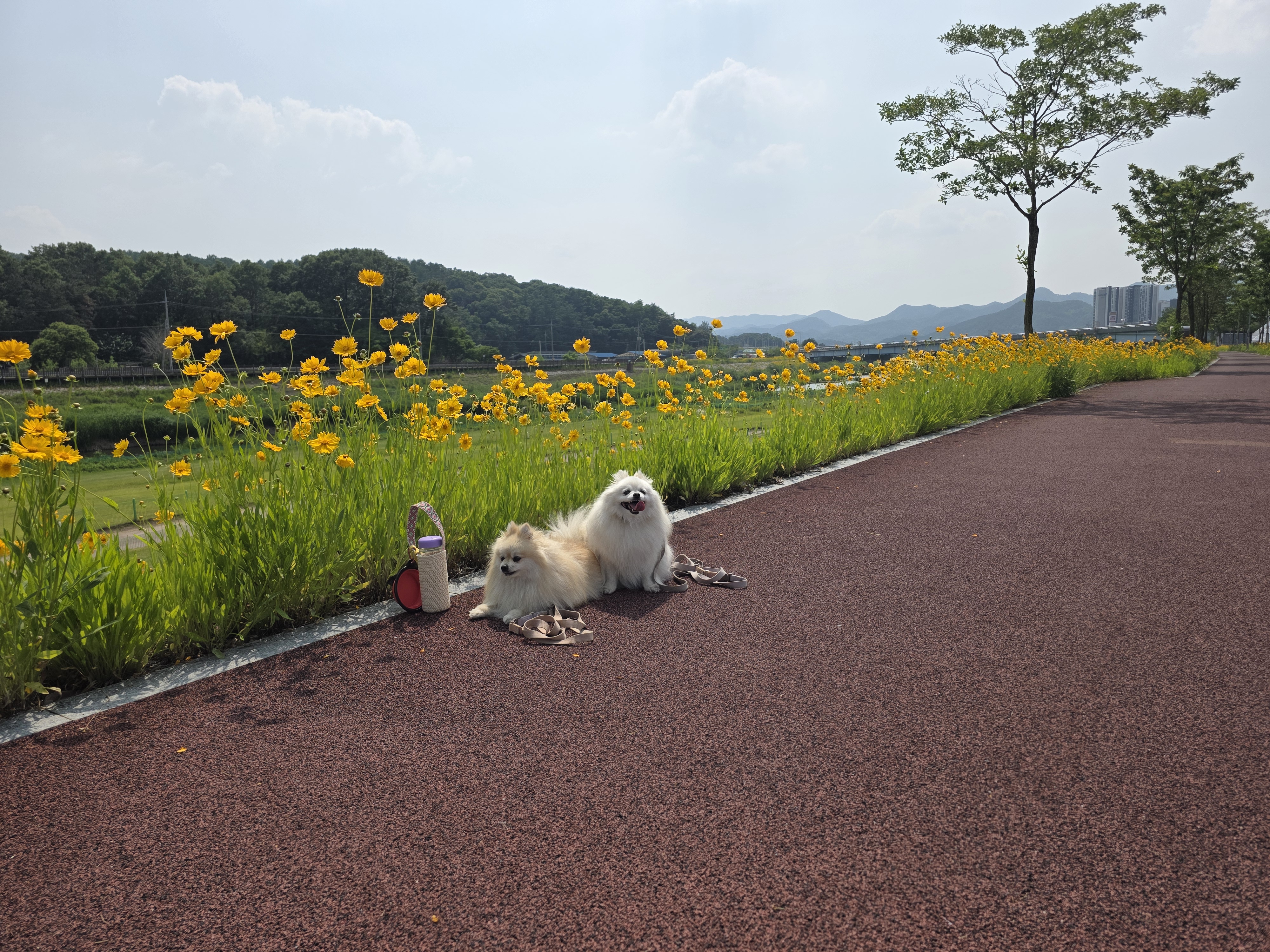 김상우