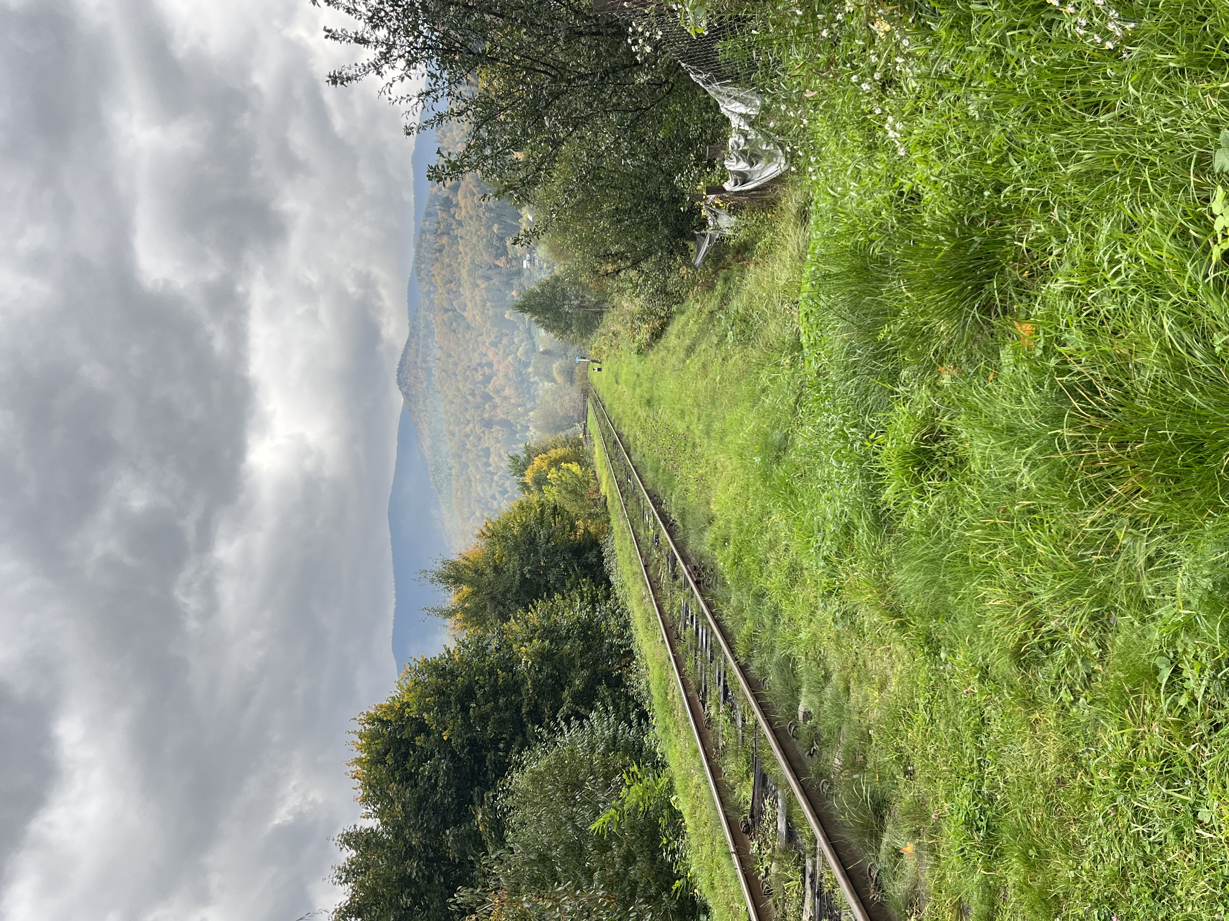 Едуард Баглик