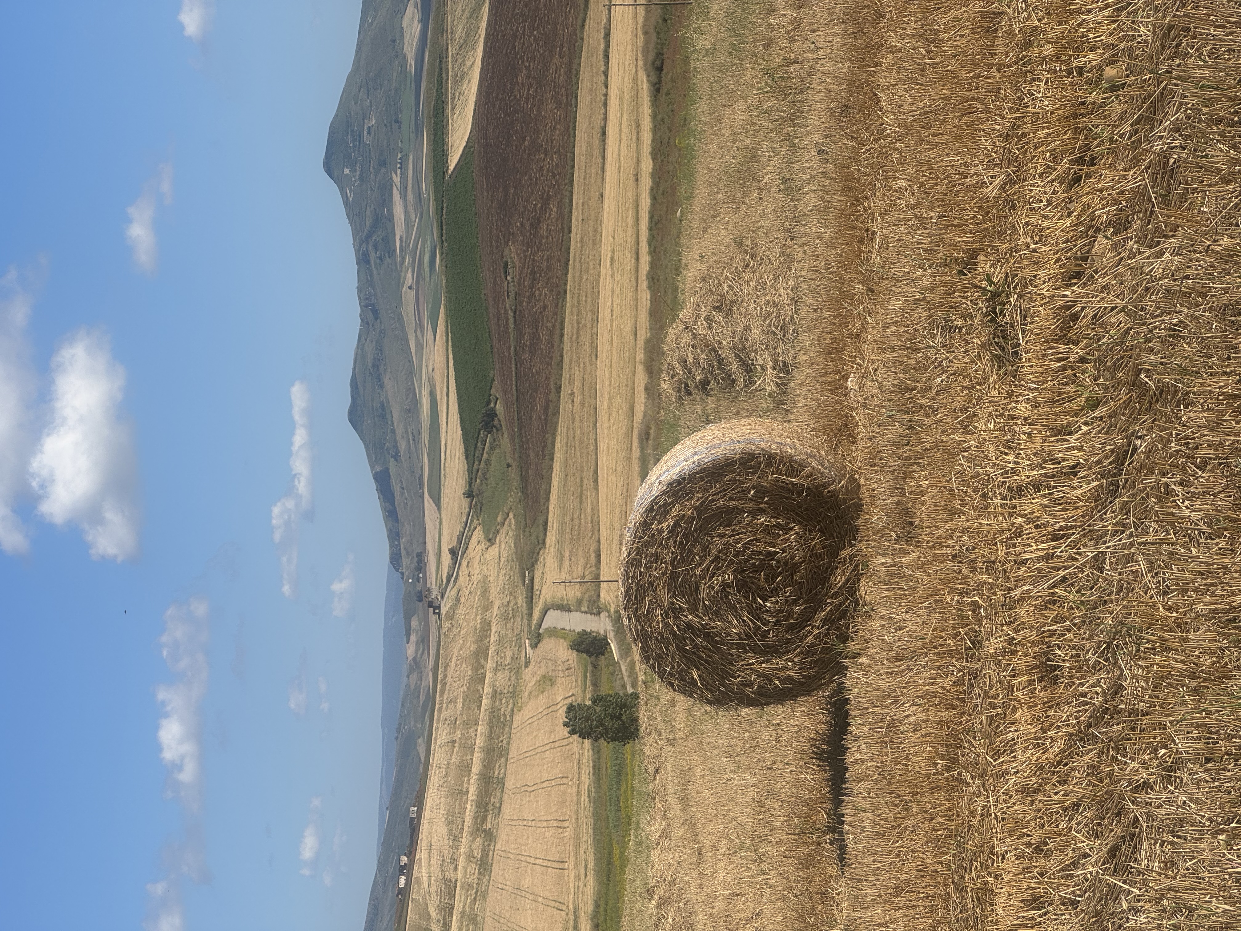 2025 Sicily divide