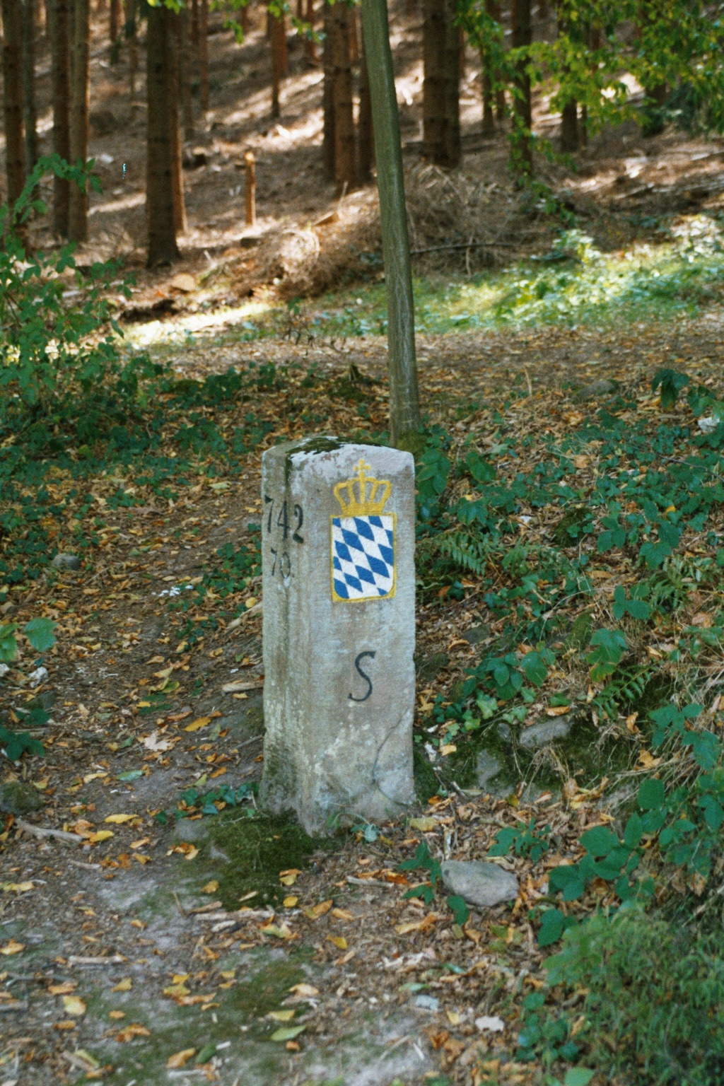 Buchen - Bad König