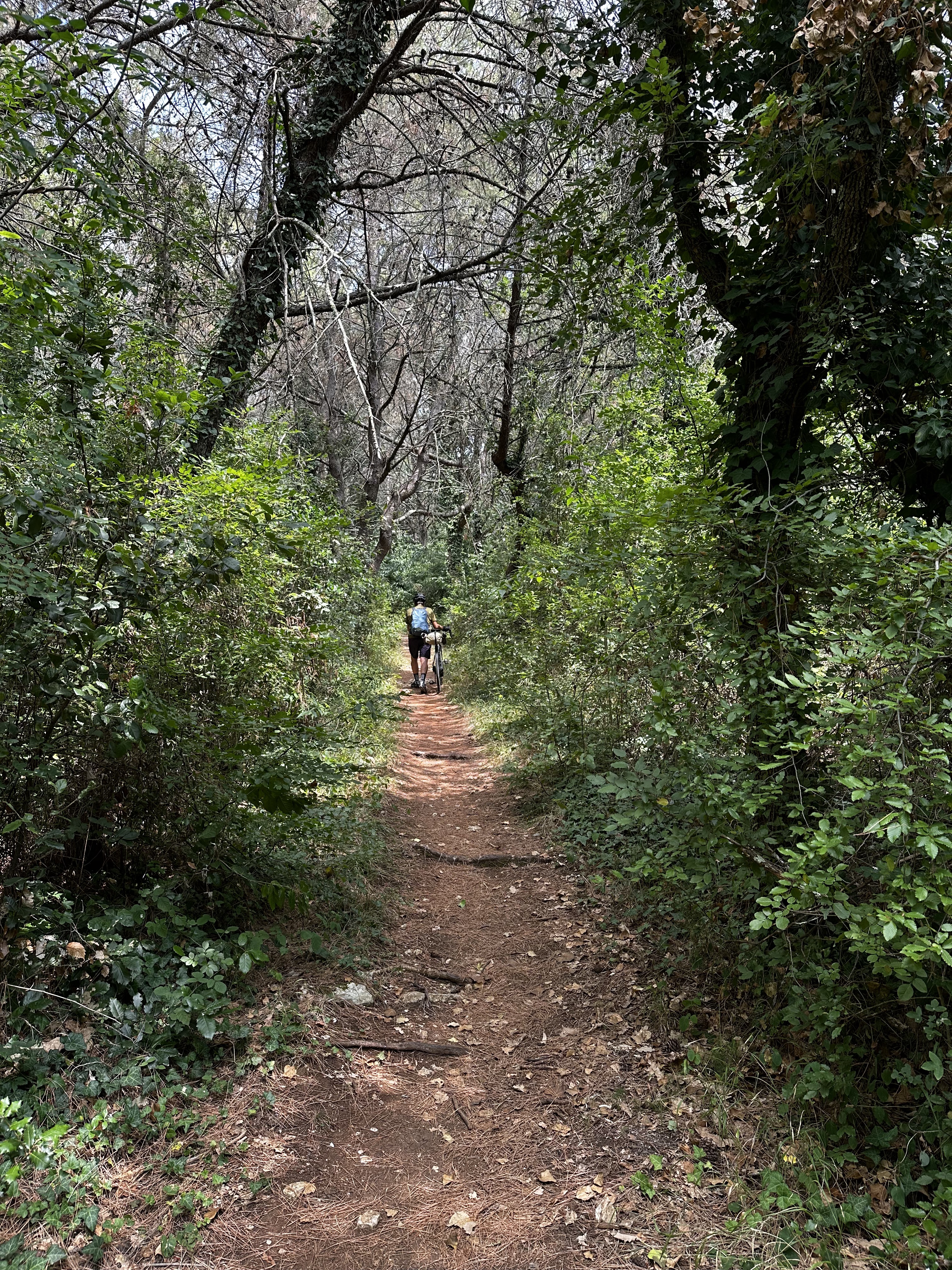 Foto 6 del percorso Bikemap "45.225, 13.628 nach 45.041, 13.786" Foto 6 del percorso Bikemap "45.225, 13.628 nach 45.041, 13.786"