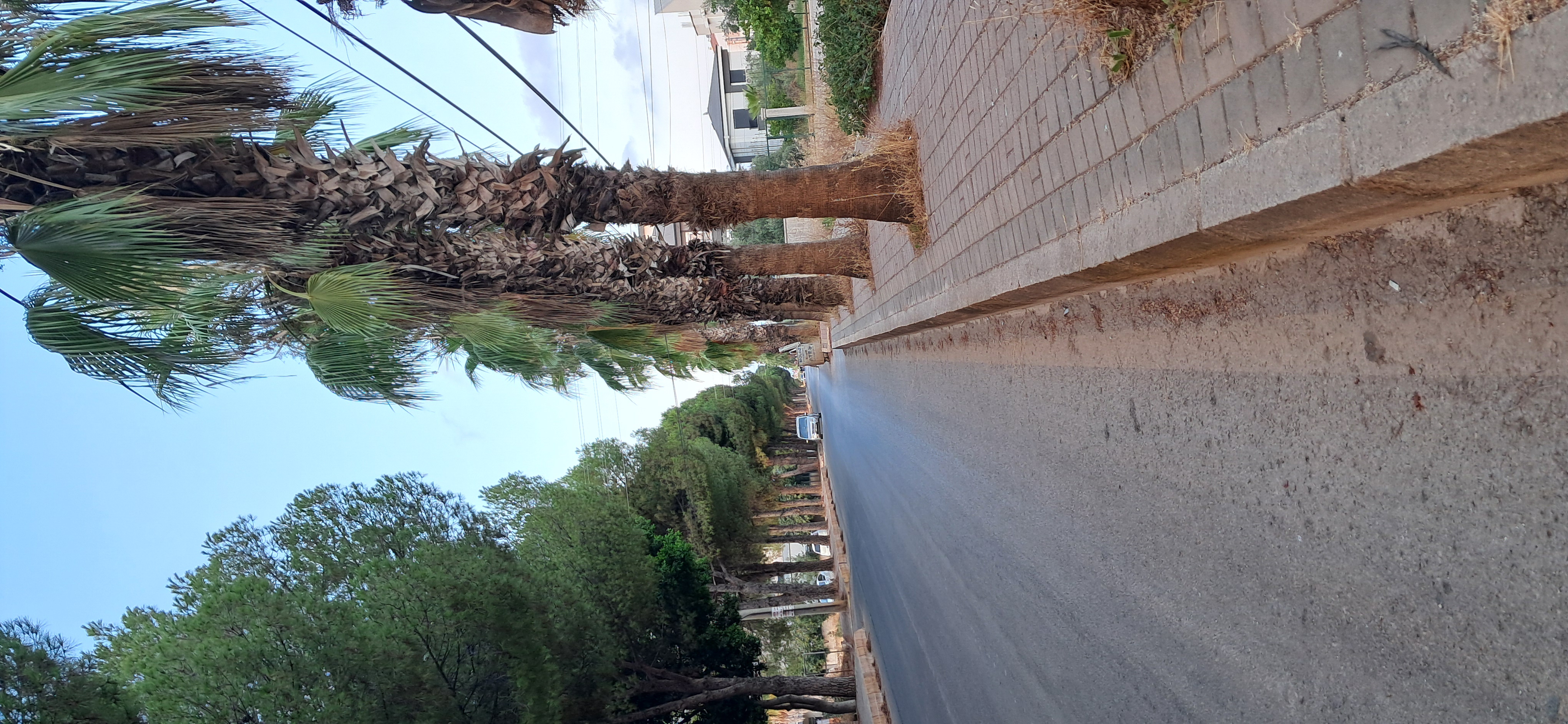 Photo 7 of the Bikemap route "Göktürk Sokak to Göktürk Sokak" Photo 7 of the Bikemap route "Göktürk Sokak to Göktürk Sokak"