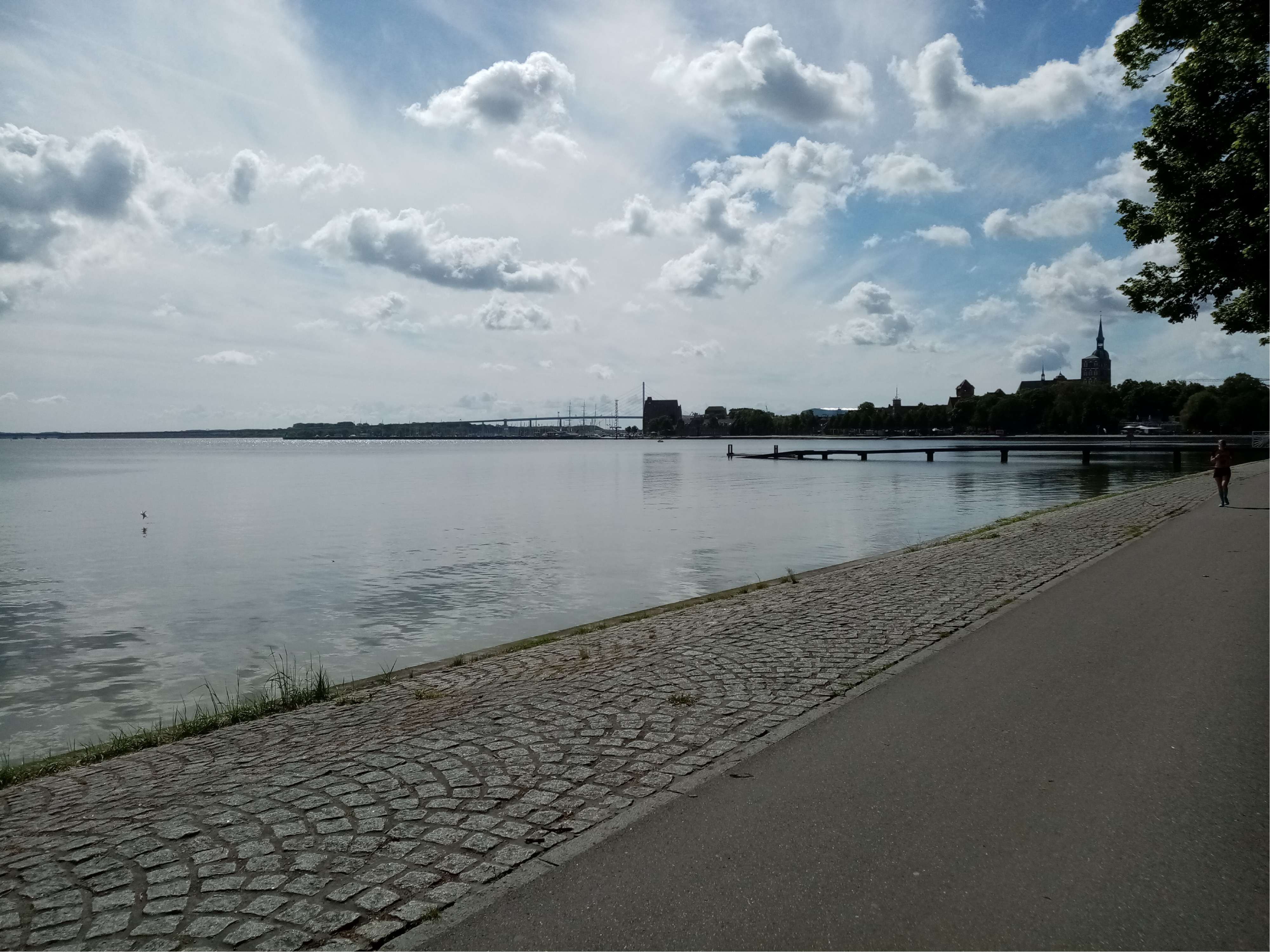 Damitz - Greifswald Eldena