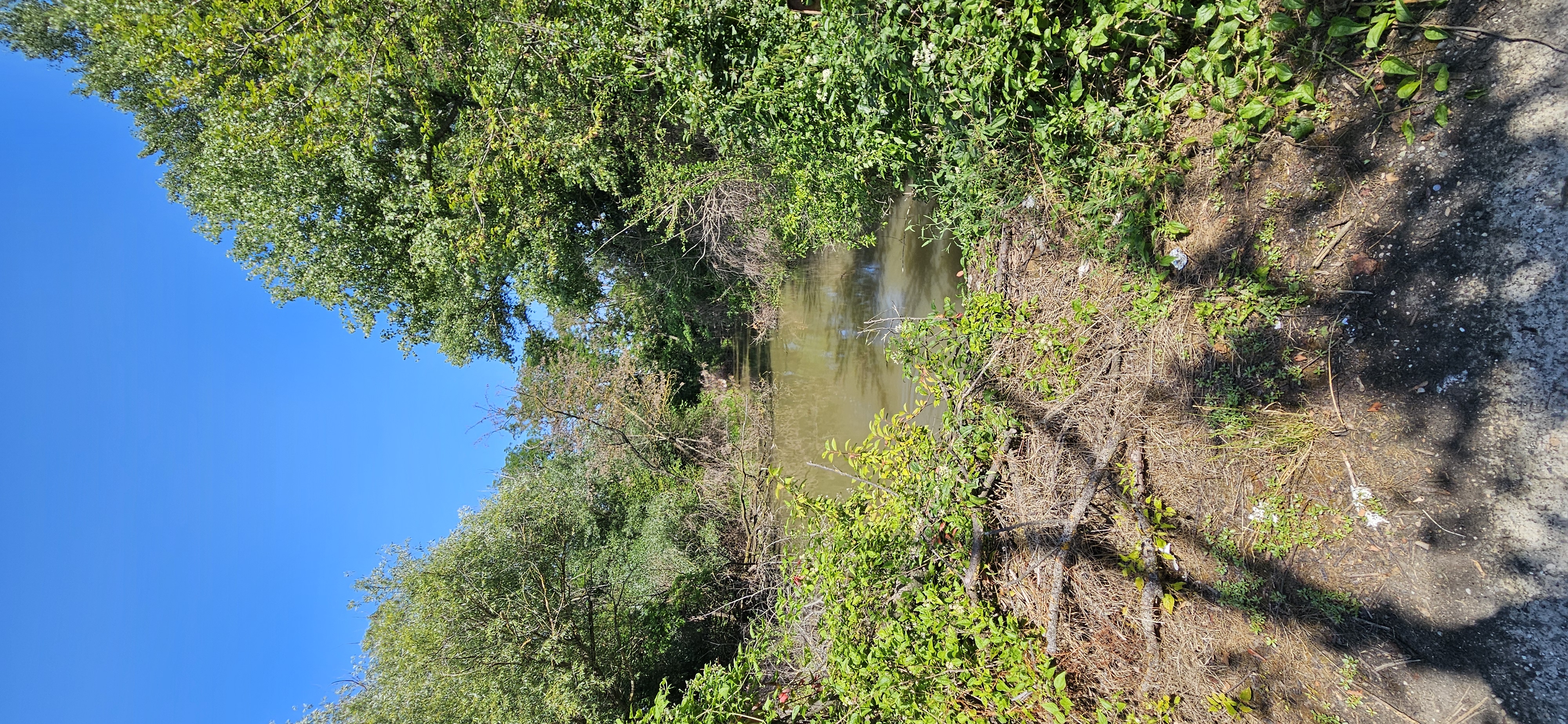 Foto 7 der Bikemap-Route "Vozokany-Č.Voda-Č.Brod-Sládkovičovo-GA Hody-Váhovce-Kaskády-Šaľa-Diakovce-Matúškovo-Mostová-Č.Voda-Vozokany" Foto 7 der Bikemap-Route "Vozokany-Č.Voda-Č.Brod-Sládkovičovo-GA Hody-Váhovce-Kaskády-Šaľa-Diakovce-Matúškovo-Mostová-Č.Voda-Vozokany"