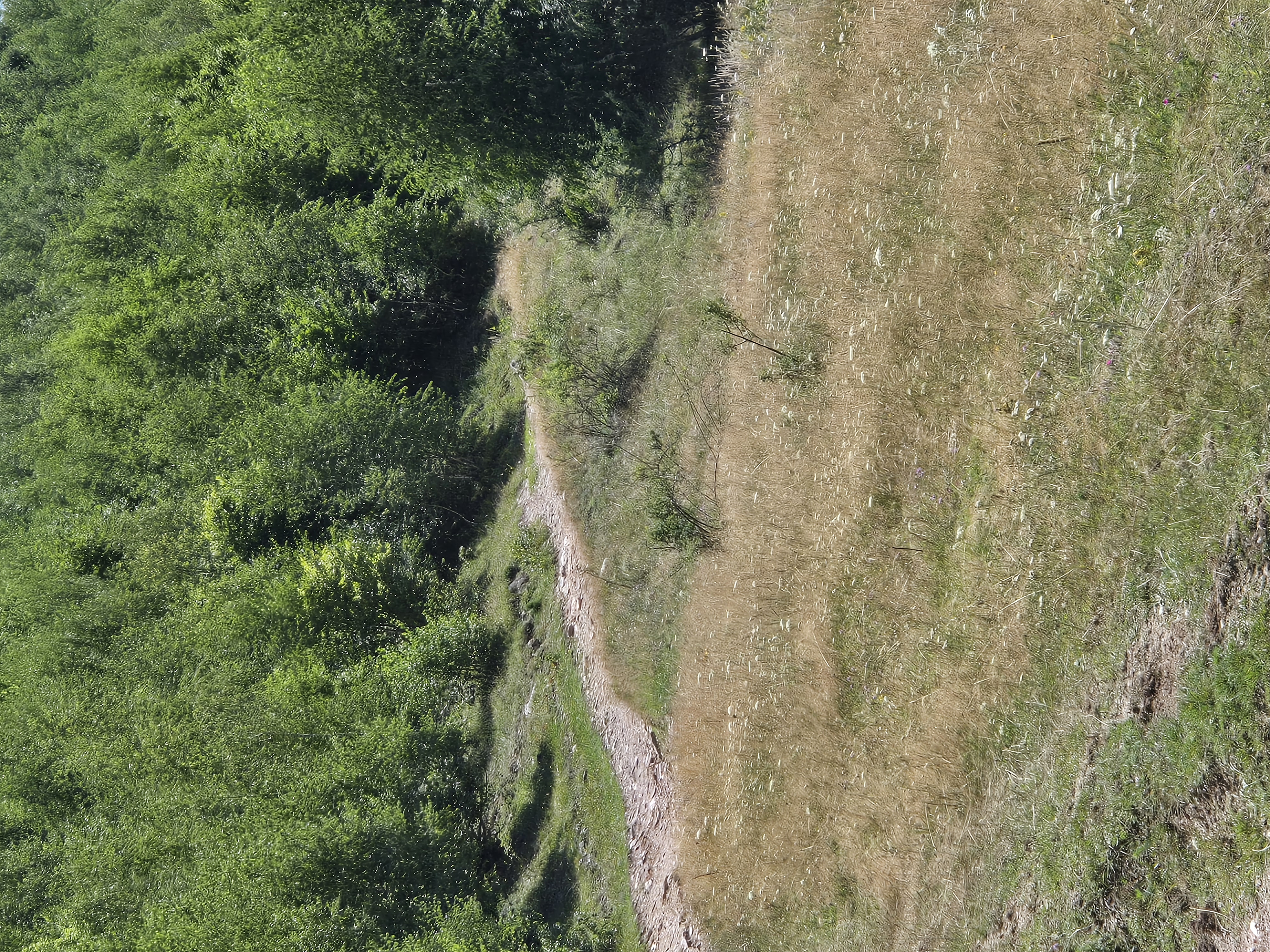 Photo 7 de l’itinéraire Bikemap « Drum Fără Nume to DJ106A »