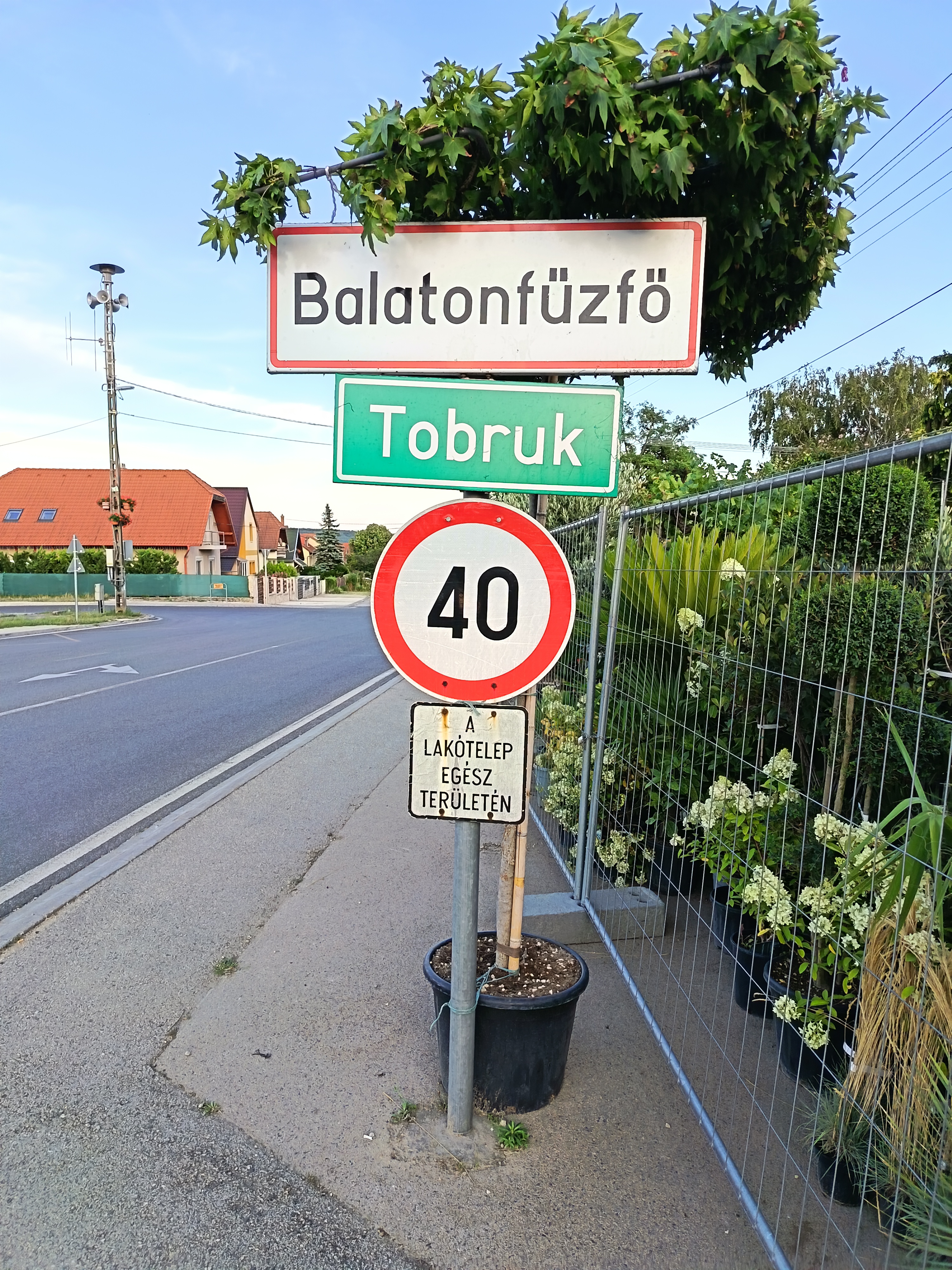 Boglárka utca - Boglárka utca