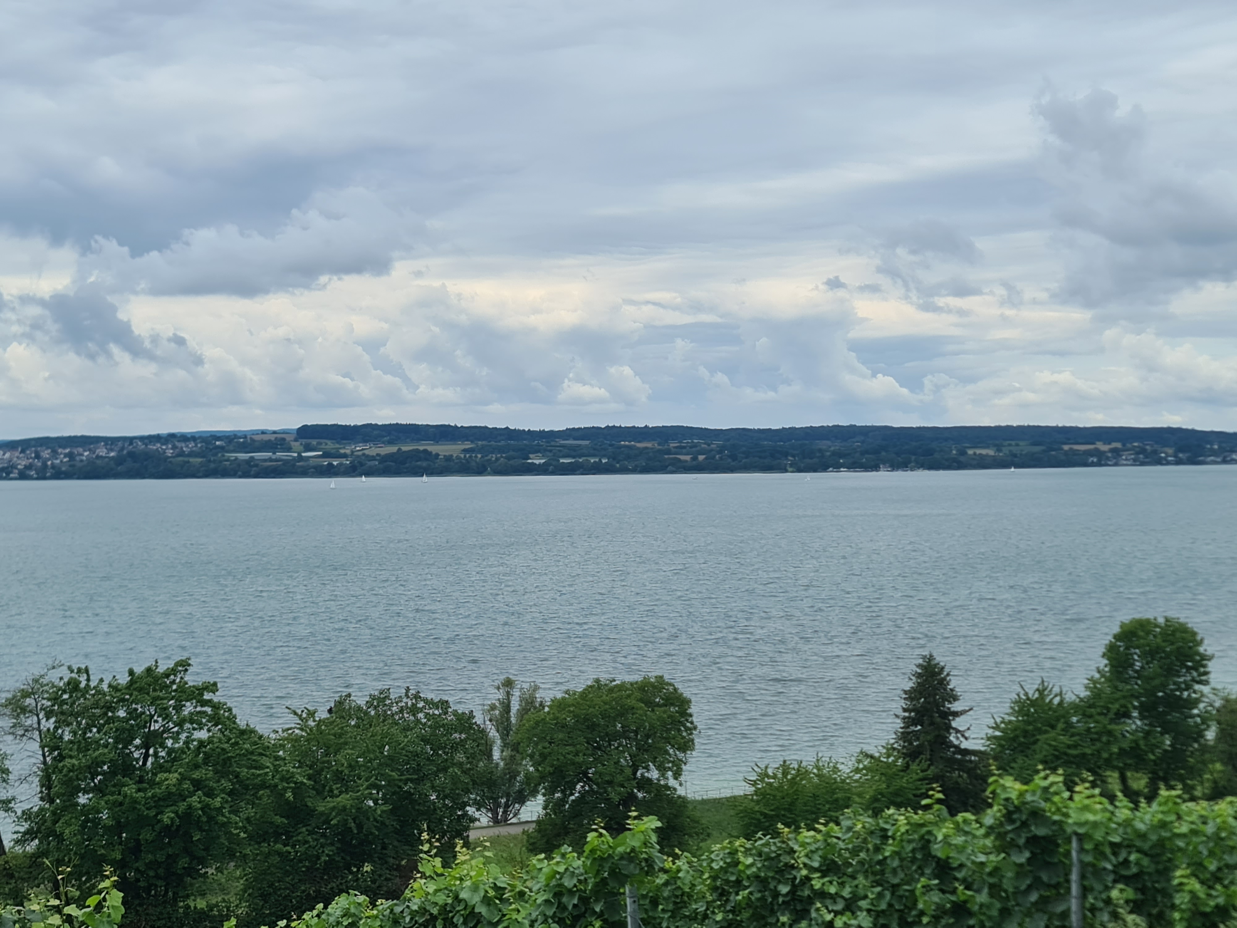 Hardtstraße nach Meersburg Gehauweg