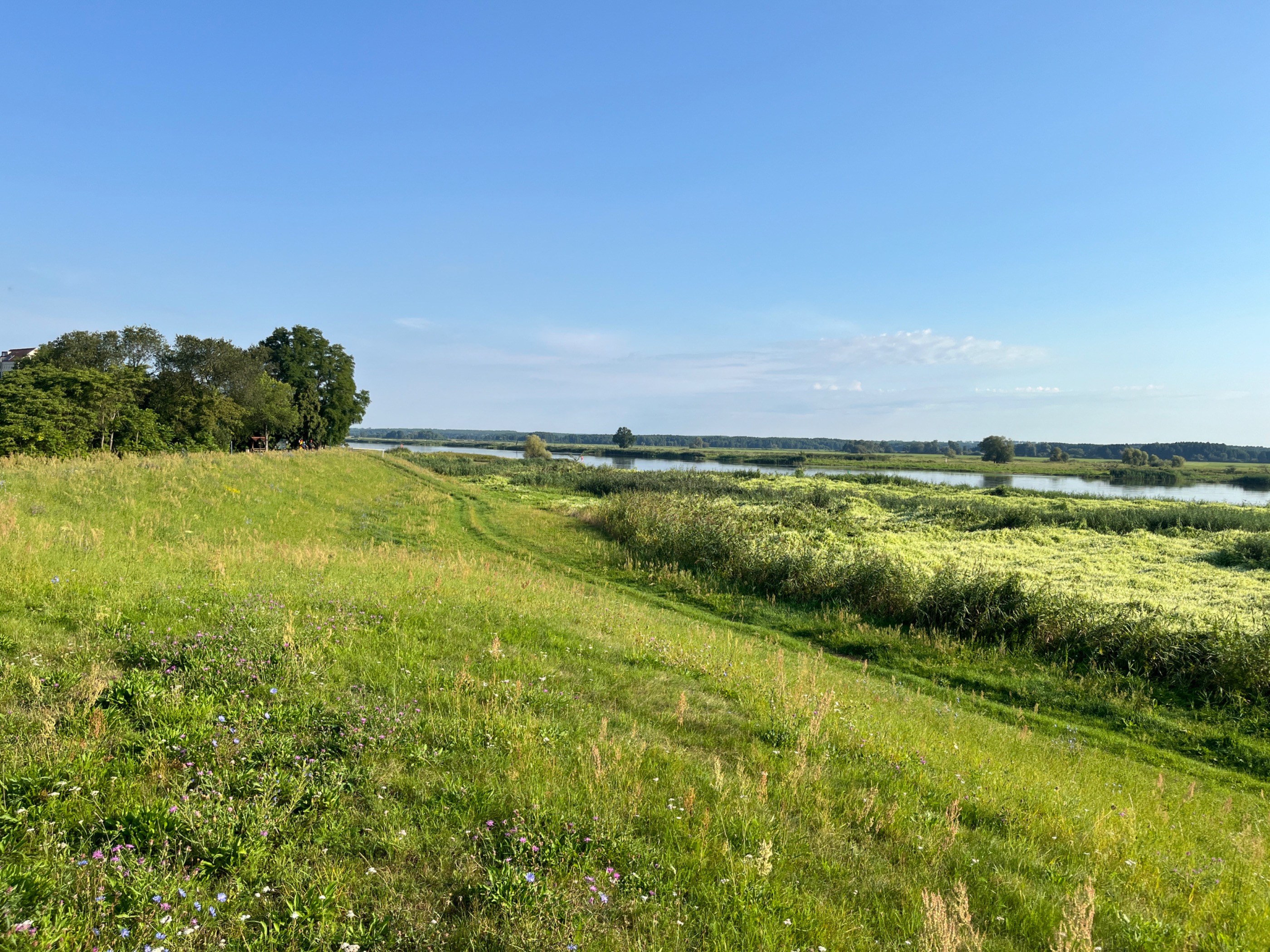 Odertour Küstrin-Kietz - Schwedt