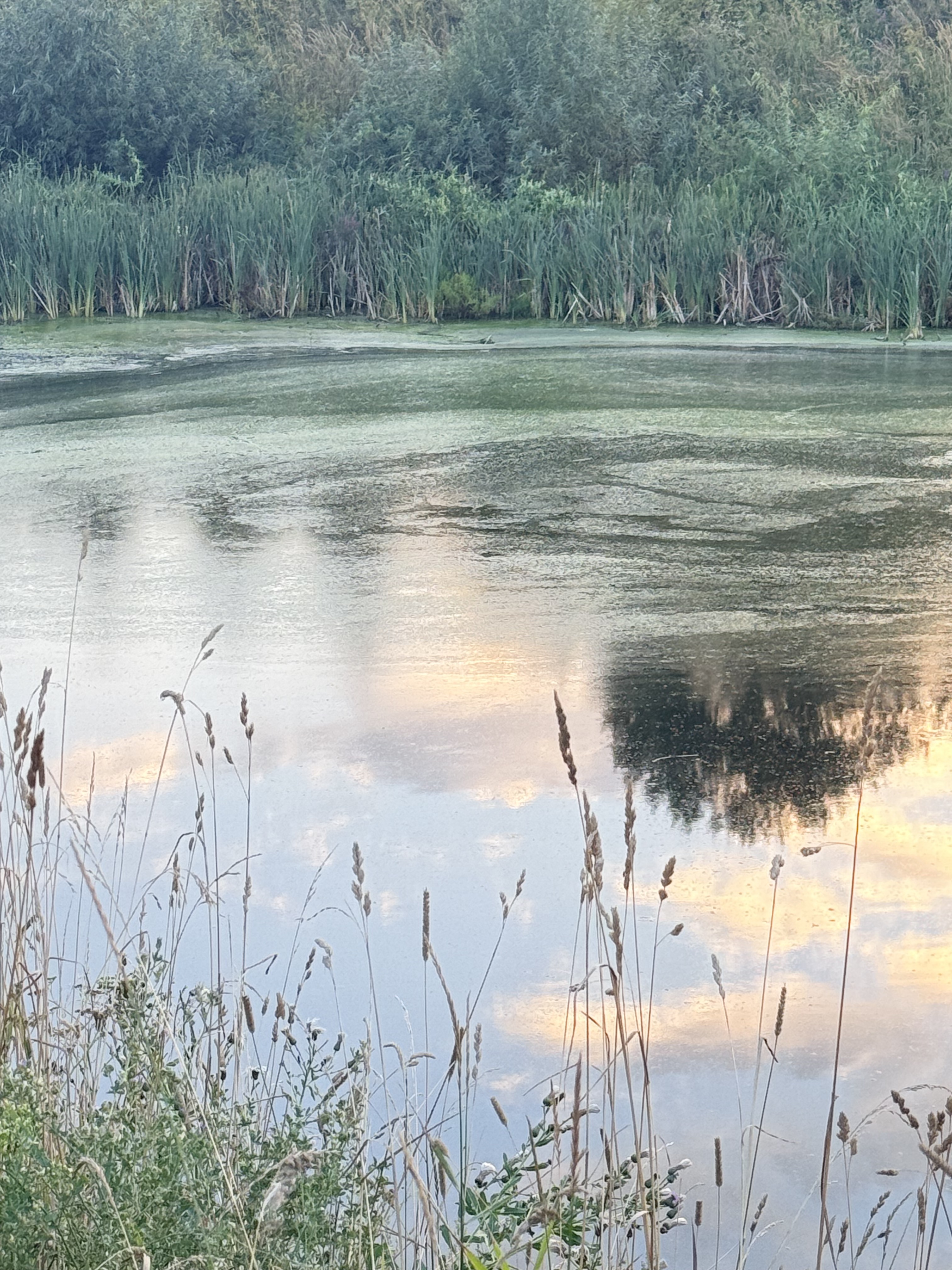 Zdjęcie 7 trasy Bikemap „Краснококшайская улица, Казань до улица Батыршина, Казань” Zdjęcie 7 trasy Bikemap „Краснококшайская улица, Казань до улица Батыршина, Казань”