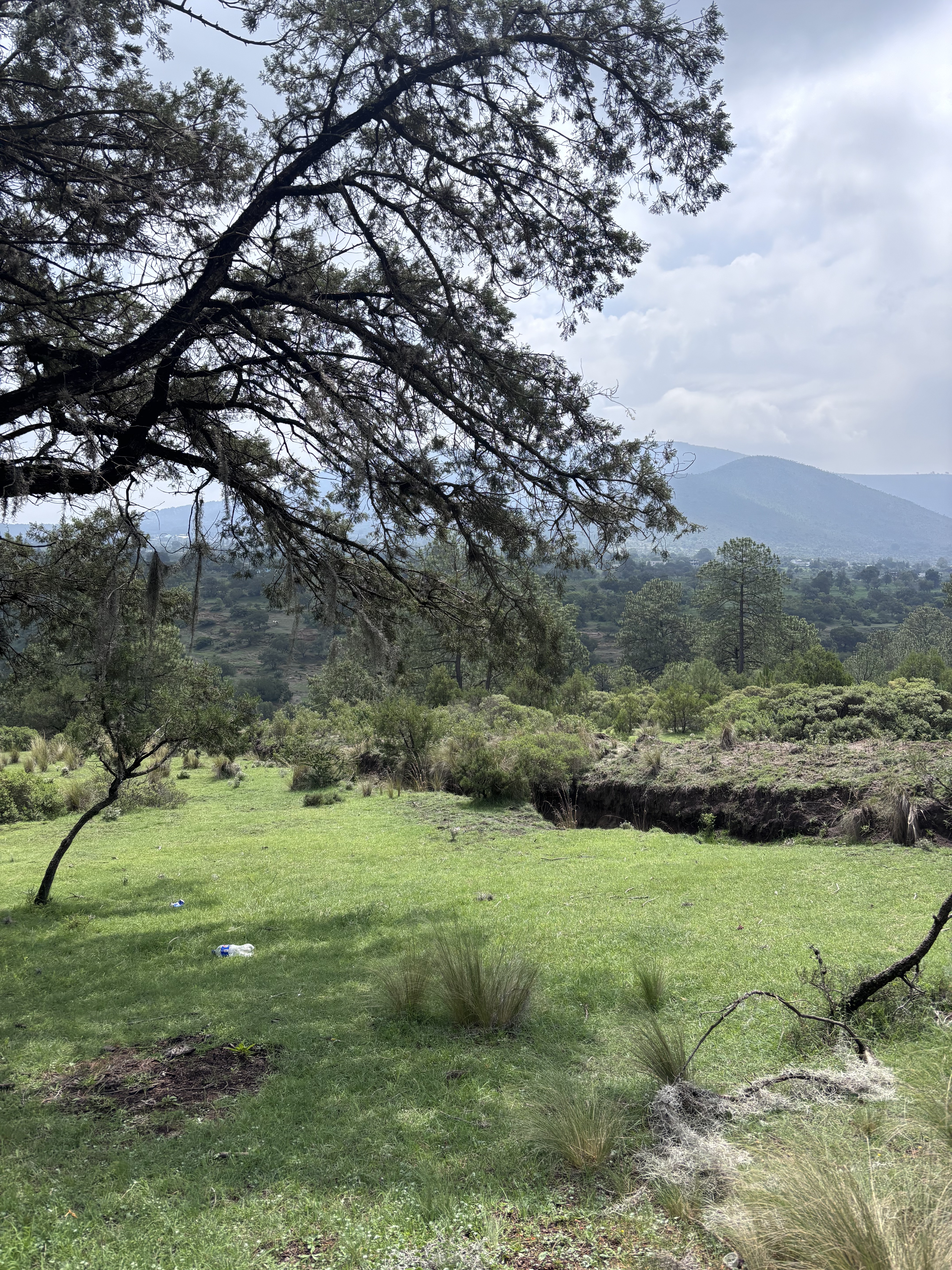 Cerro de Hernandez
