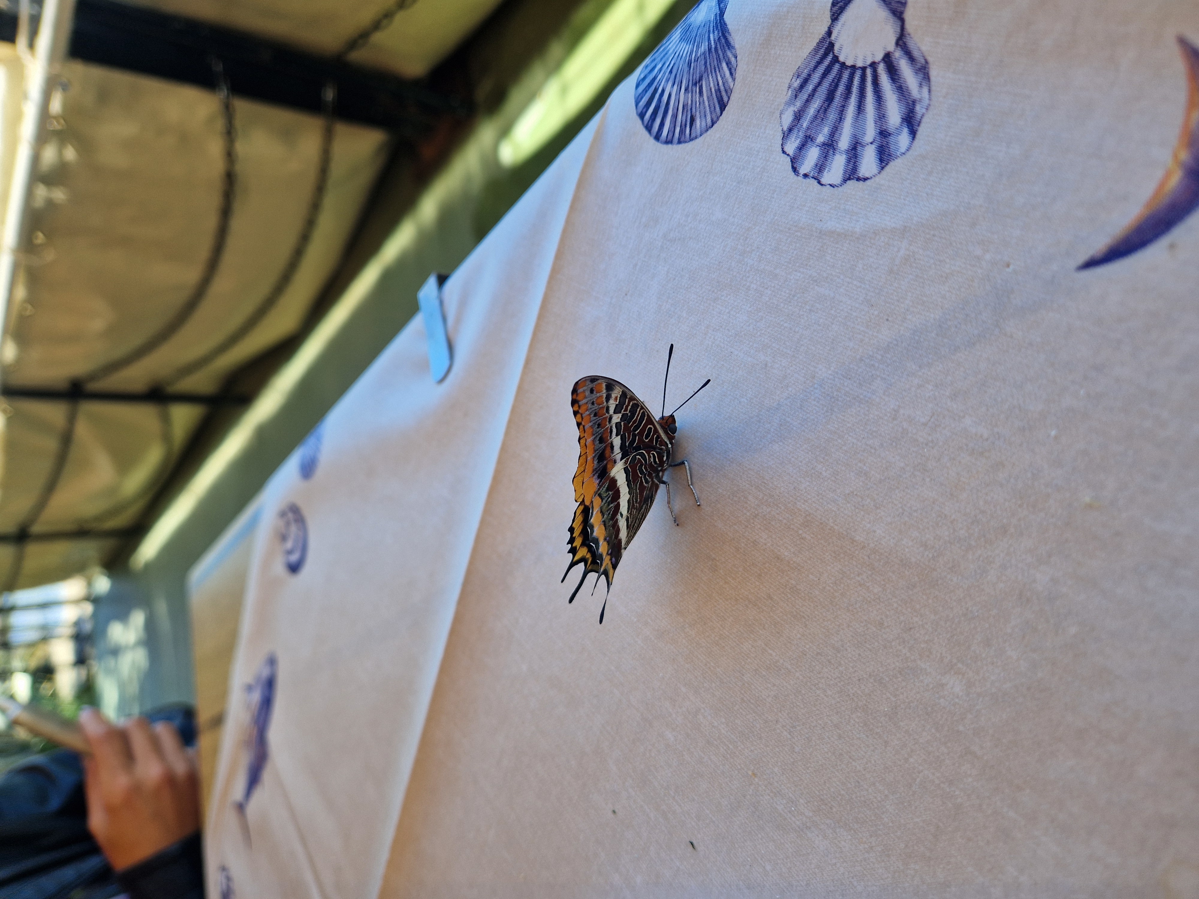 Foto 3 der Bikemap-Route "GCPV+RP nach GCPV+RP" Foto 3 der Bikemap-Route "GCPV+RP nach GCPV+RP"