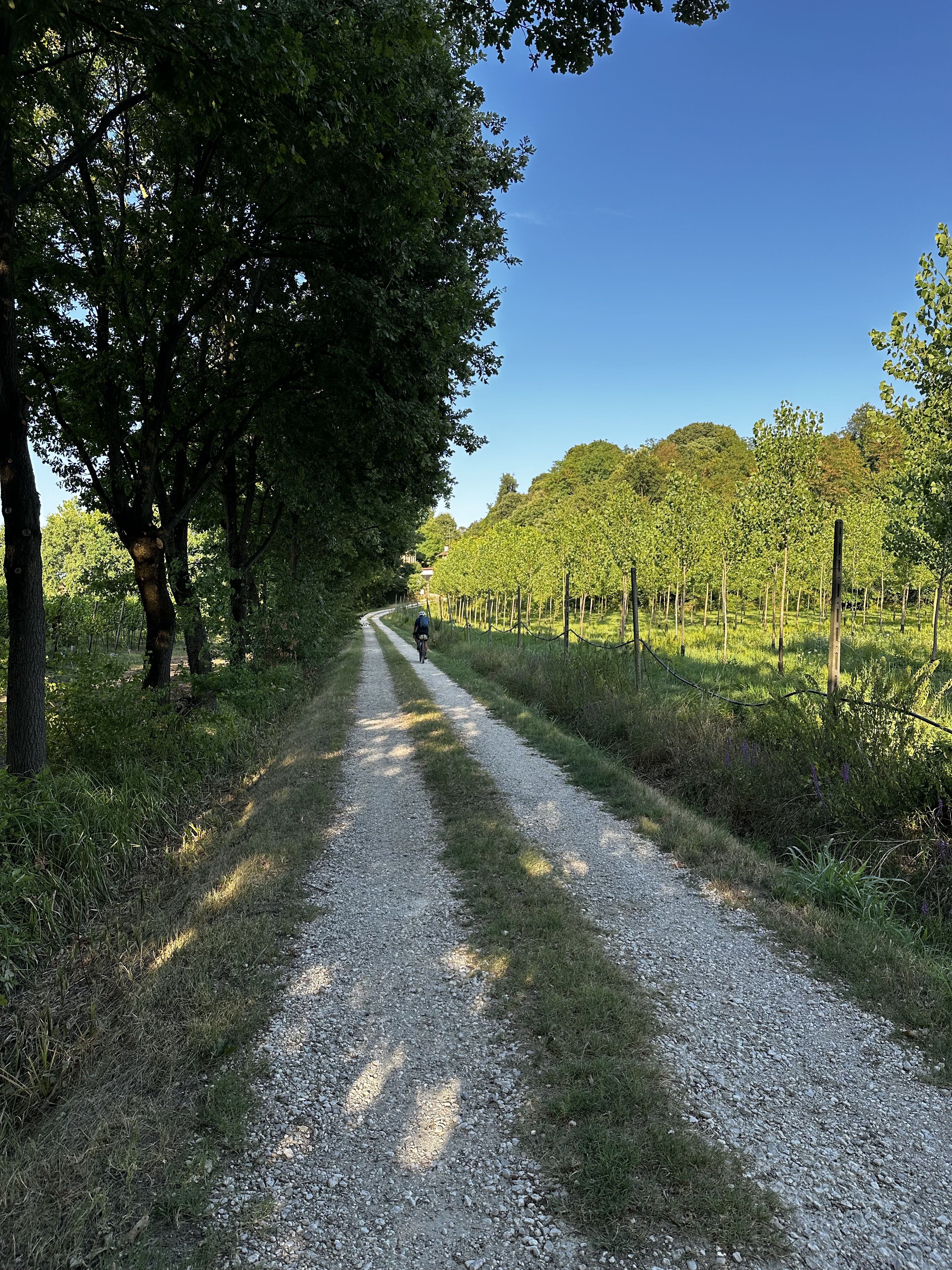 Via Veneto, Selvazzano Dentro nach Via John Fitzgerald Kennedy, Grisignano di Zocco