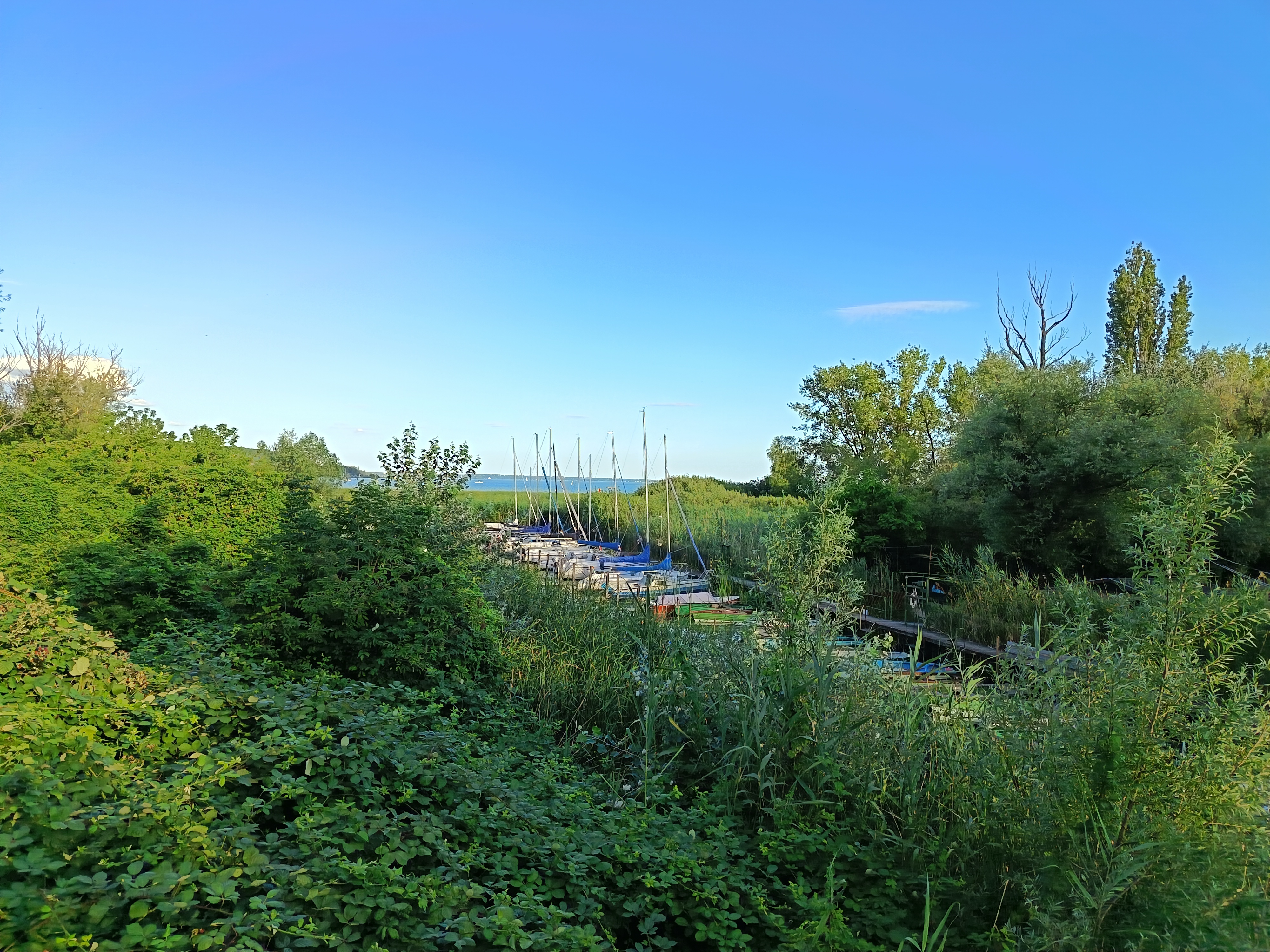 Sáfrány utca 3f - Boglárka utca