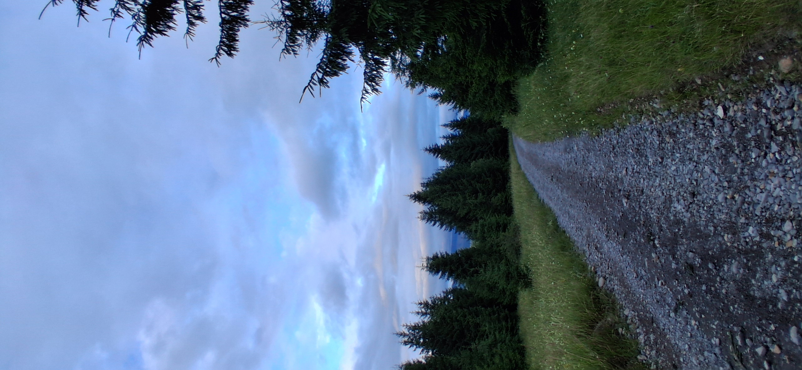 Route from Str. Călimani