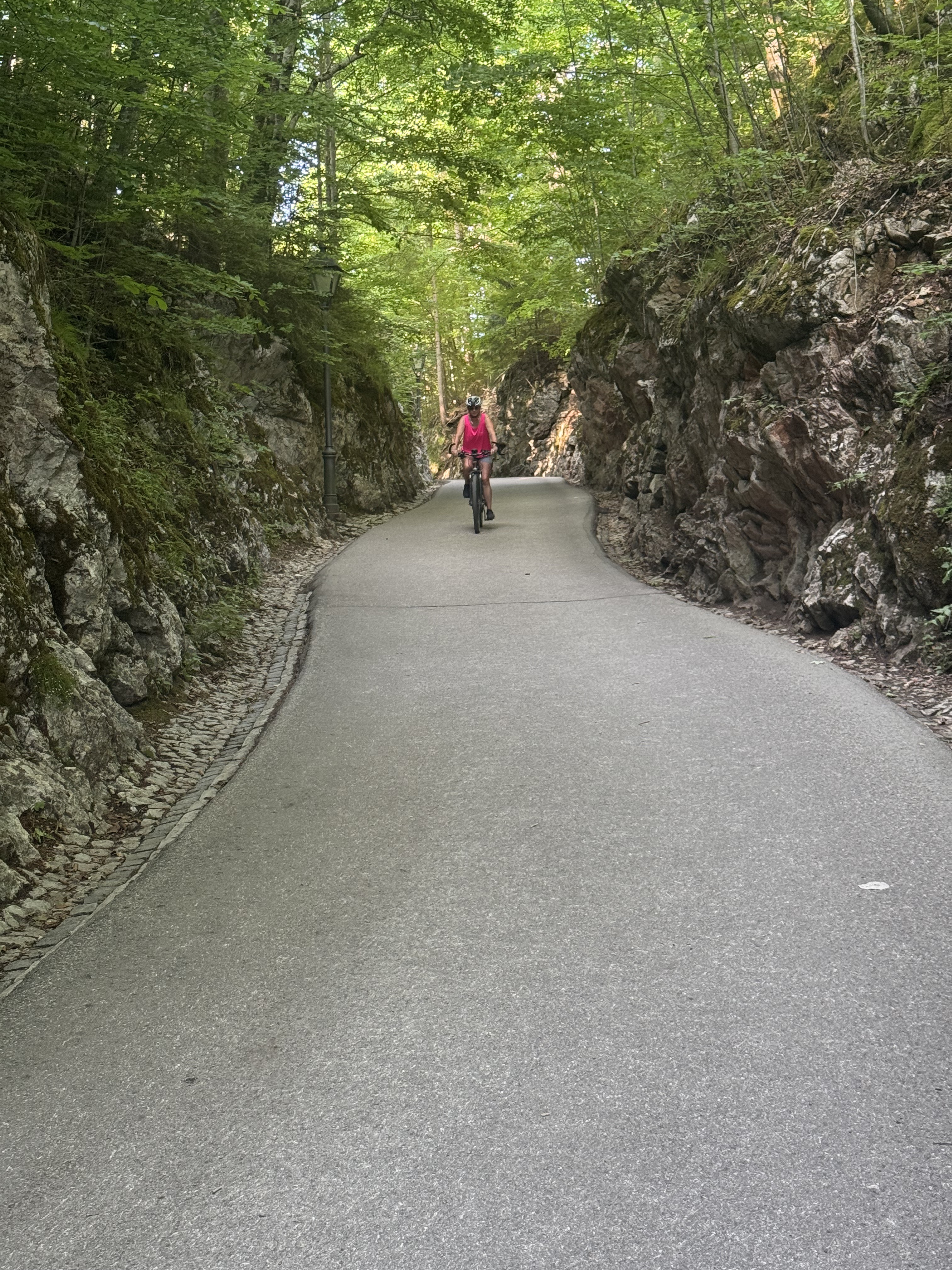Photo 8 of the Bikemap route "47.556, 10.735 nach 47.551, 10.713"
