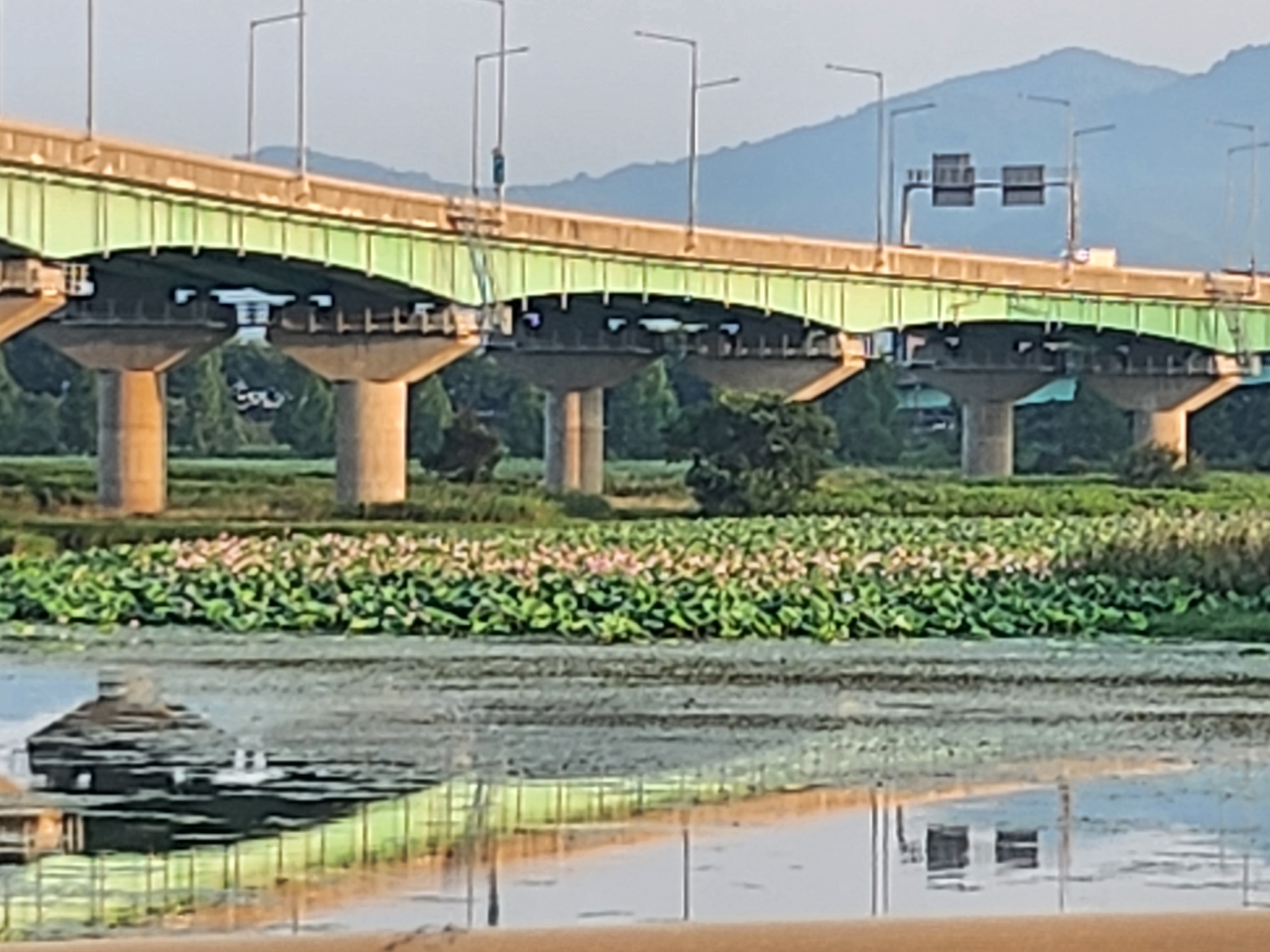 Photo 7 de l’itinéraire Bikemap « 대저1동 4569-2 ~ 대저1동 4569-2 »