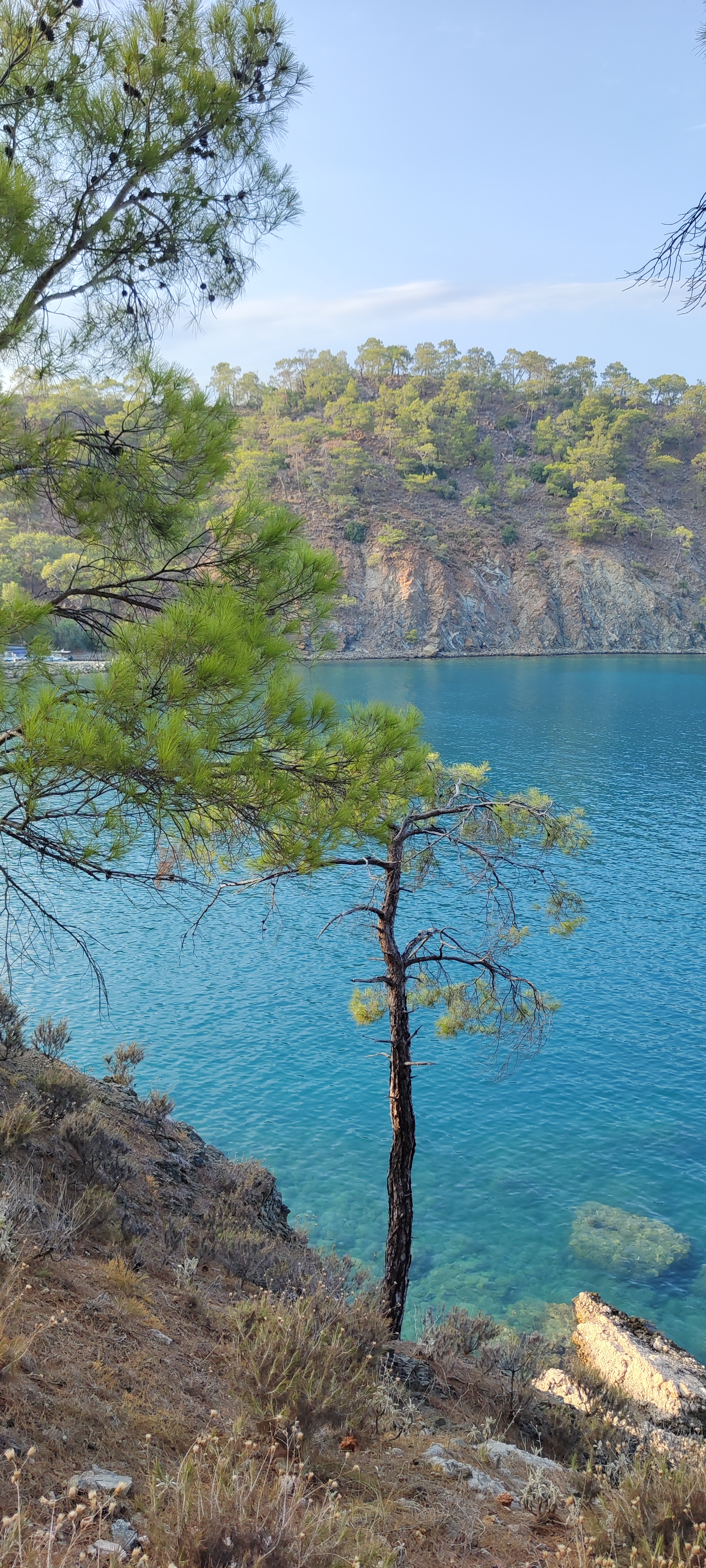 Foto 7 de la ruta de Bikemap "От Turizm Bulvarı No:10 до Turizm Bulvarı No:10"