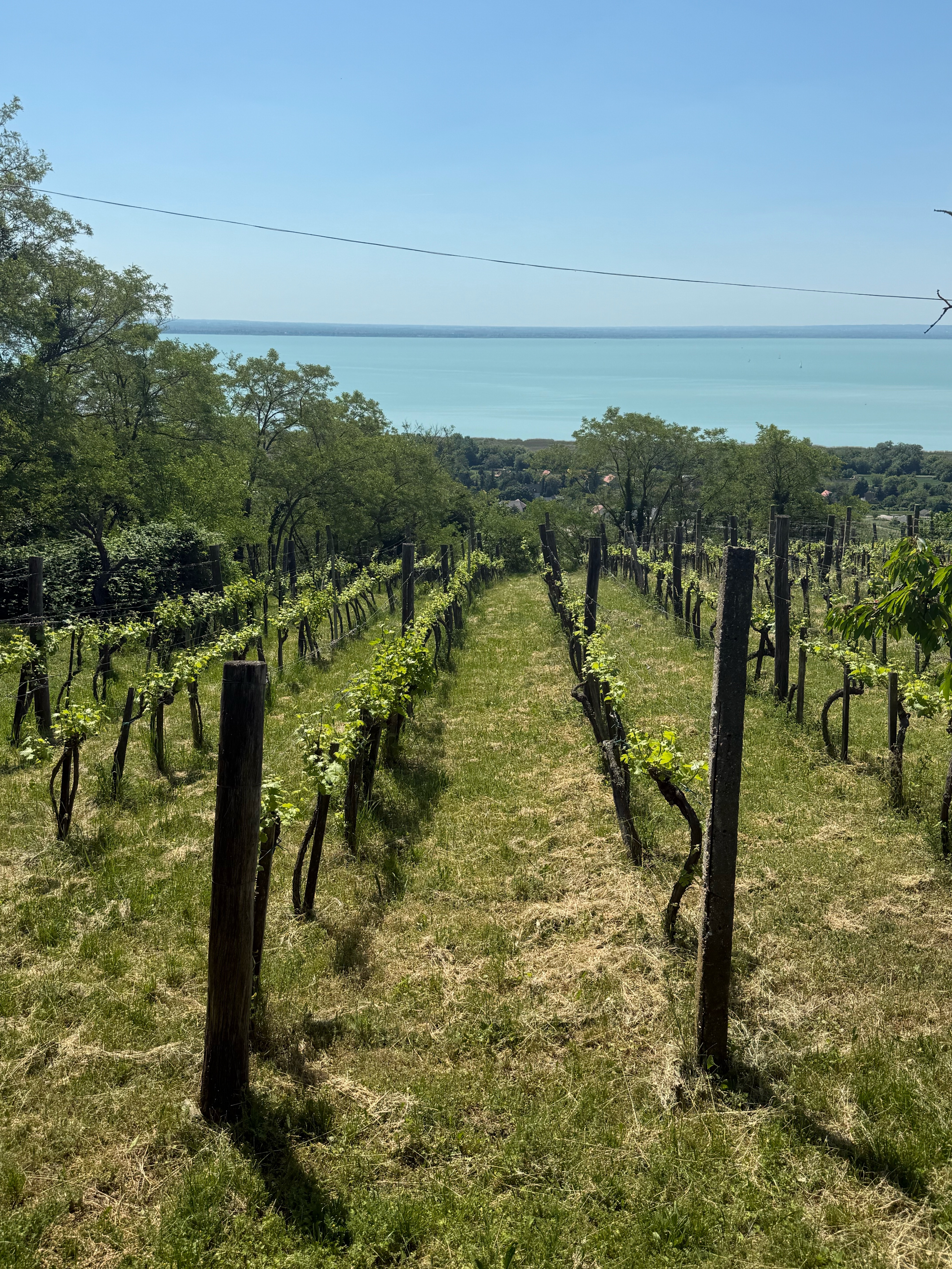 Március 15. utca, Balatonőszöd - Kazinczy Ferenc utca, Keszthely