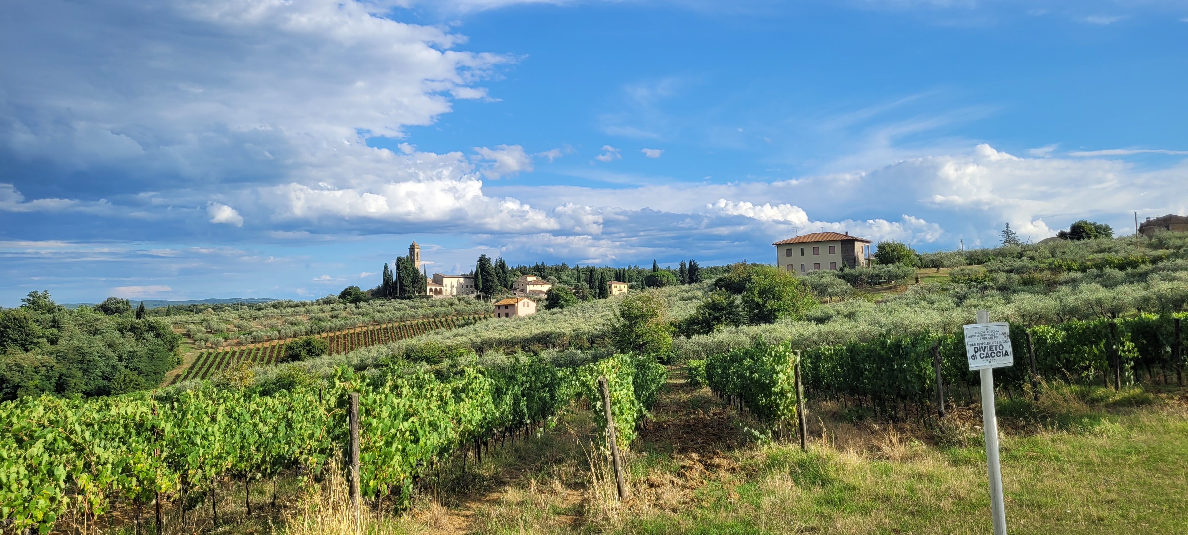 Foto 3 der Bikemap-Route "Toscana VT#1" Foto 3 der Bikemap-Route "Toscana VT#1"