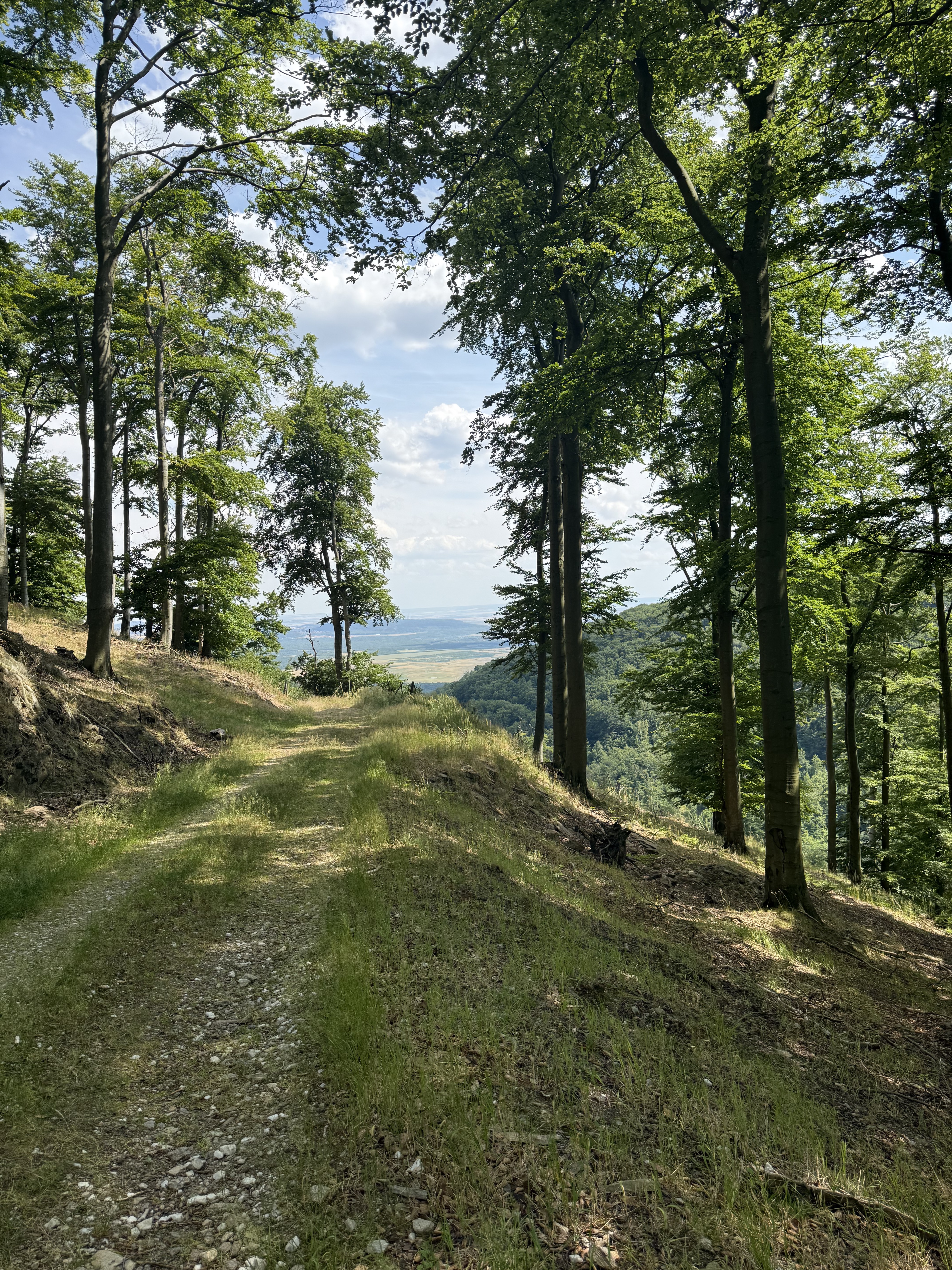 Silnice 01310, Osek do Vilová, Horní Jiřetín