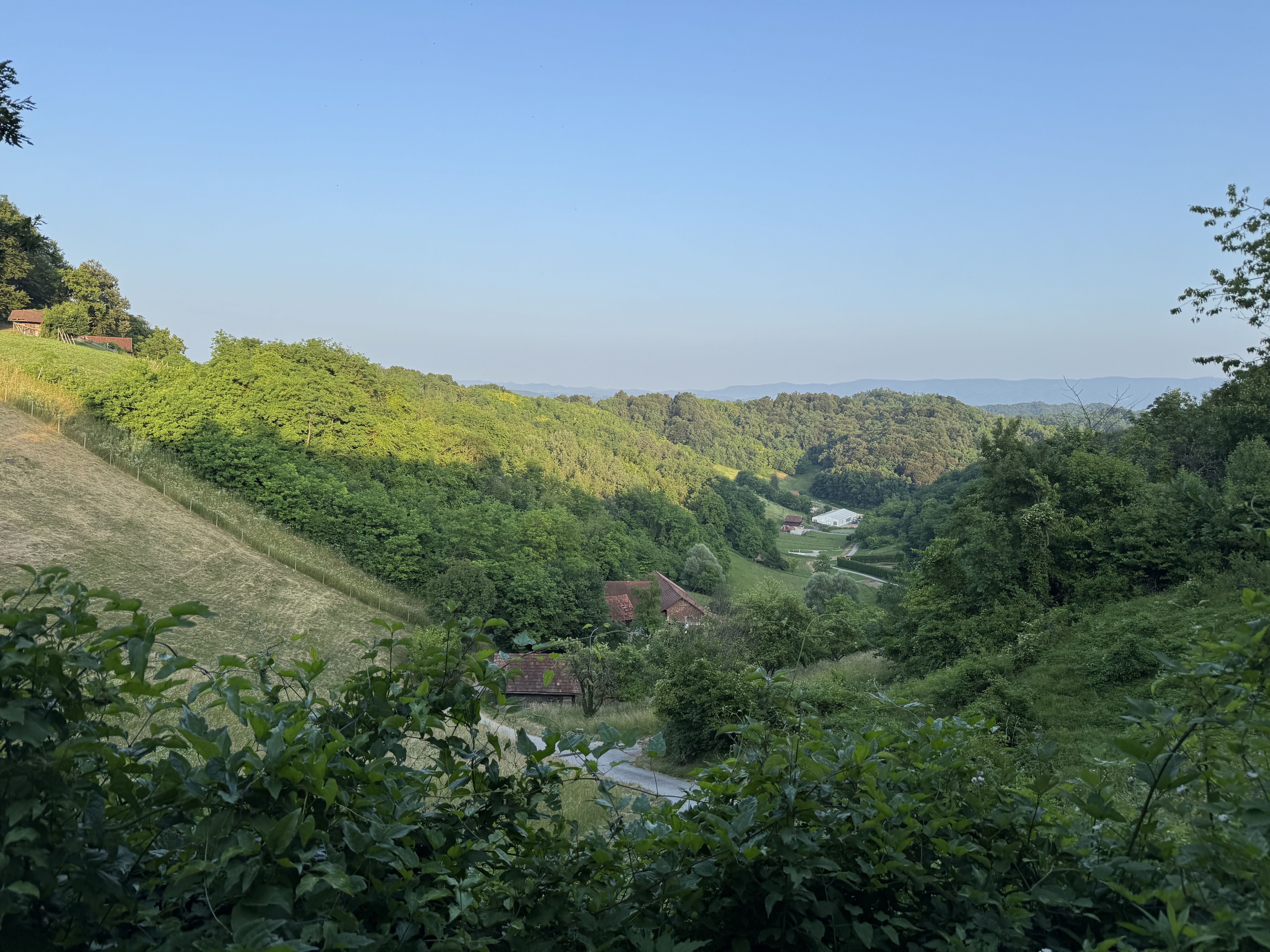 Slivonja Jarek, Slivonja Jarek to Gornja Pačetina, Gornja Pačetina