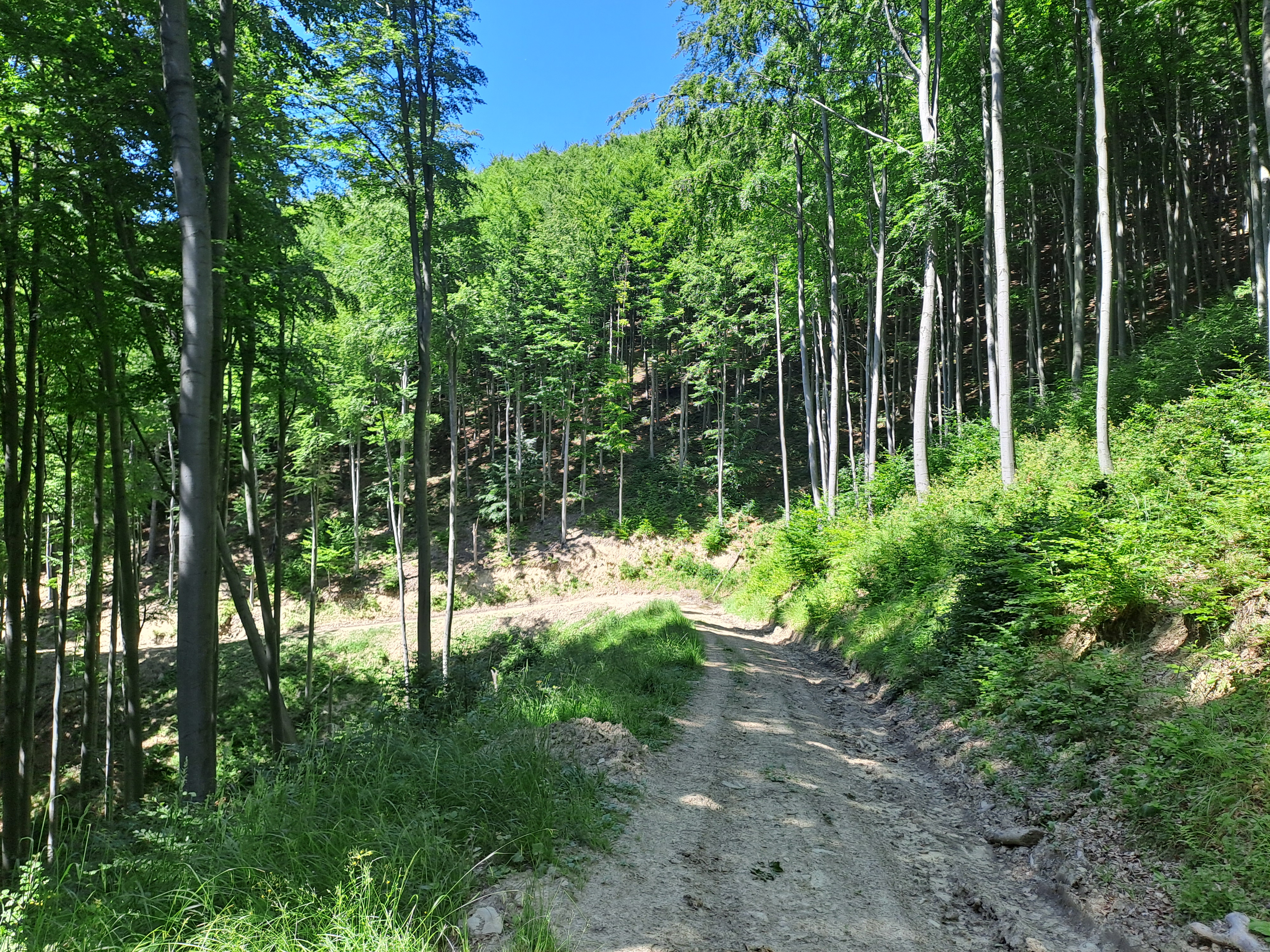 MTB Garby