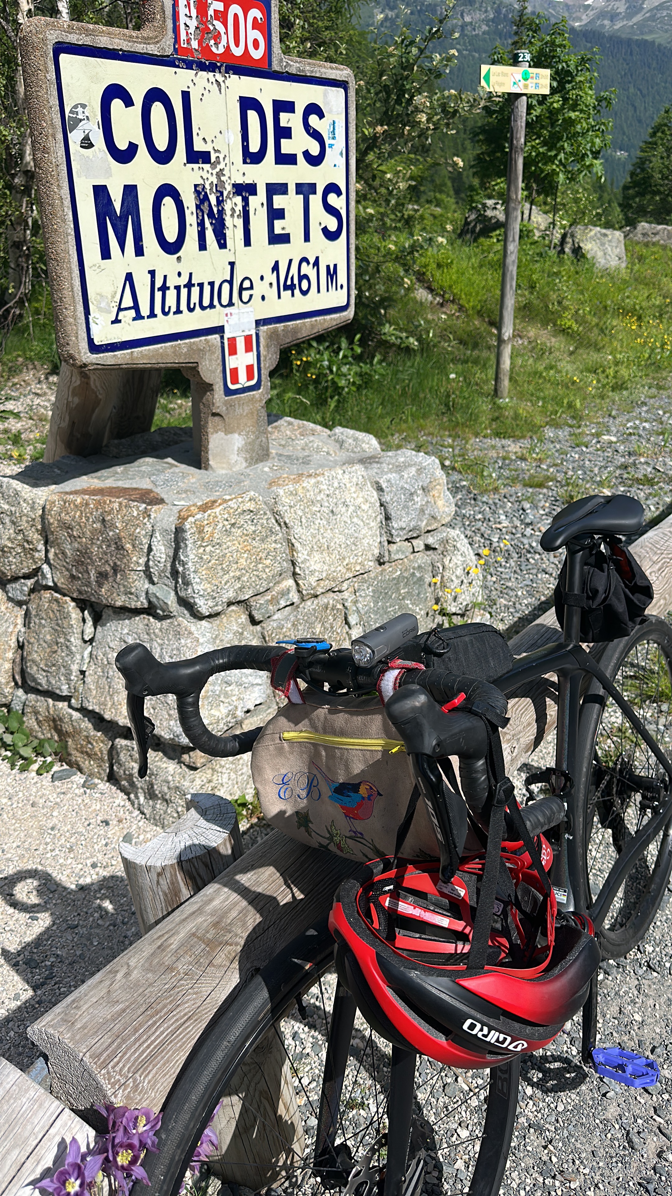 Avenue Michel Croz, Chamonix to Chemin Gabriel Loppé, Chamonix