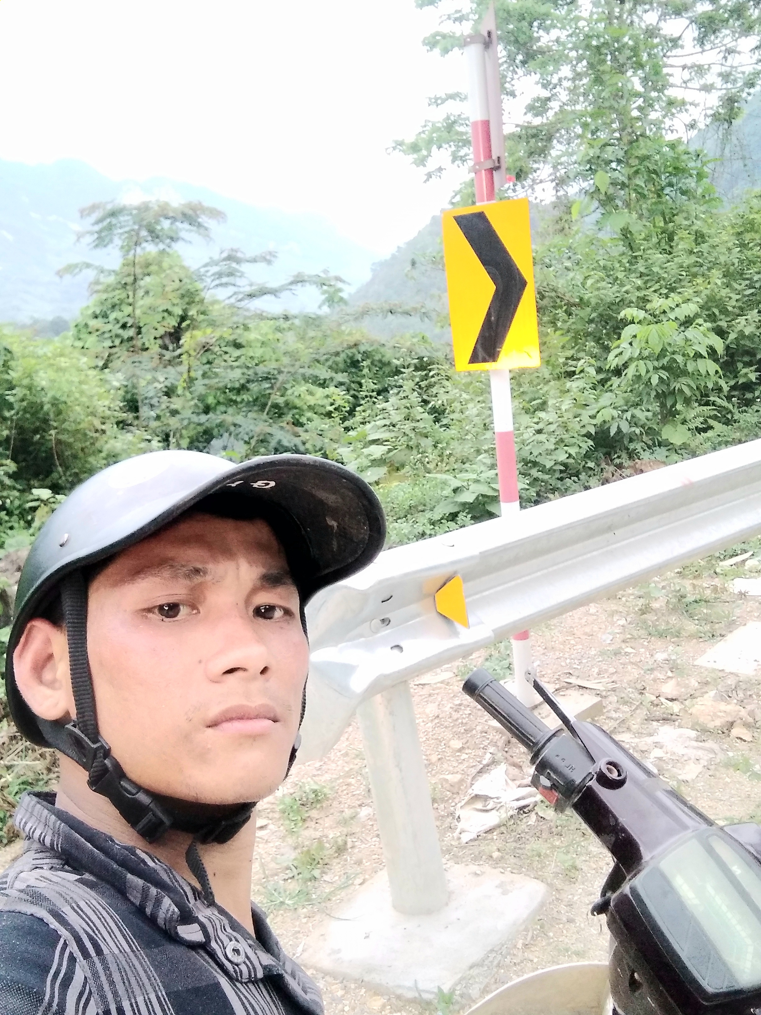 xem sinh