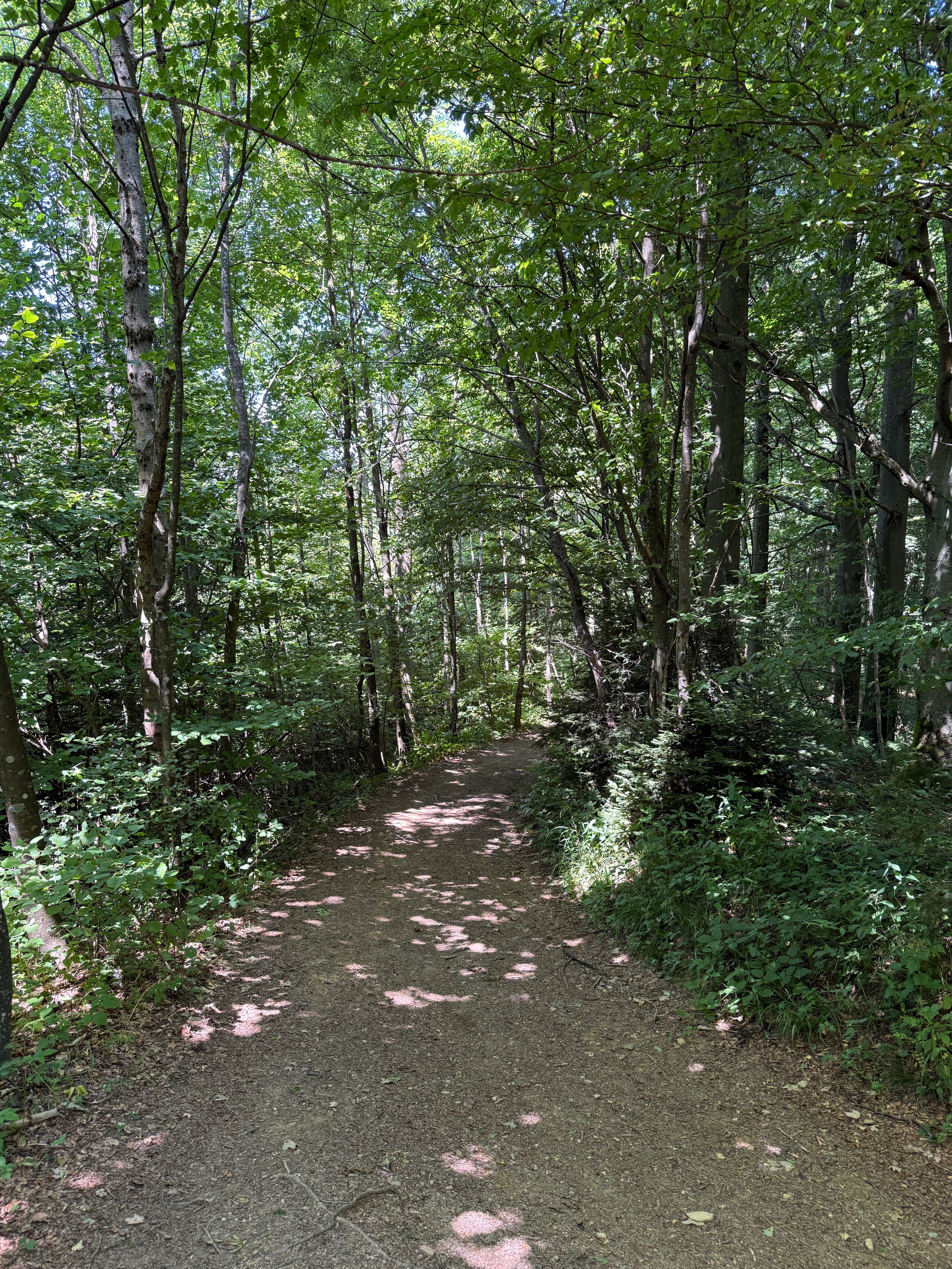 Petrovče, Kal, Mrzlica, Petrovče