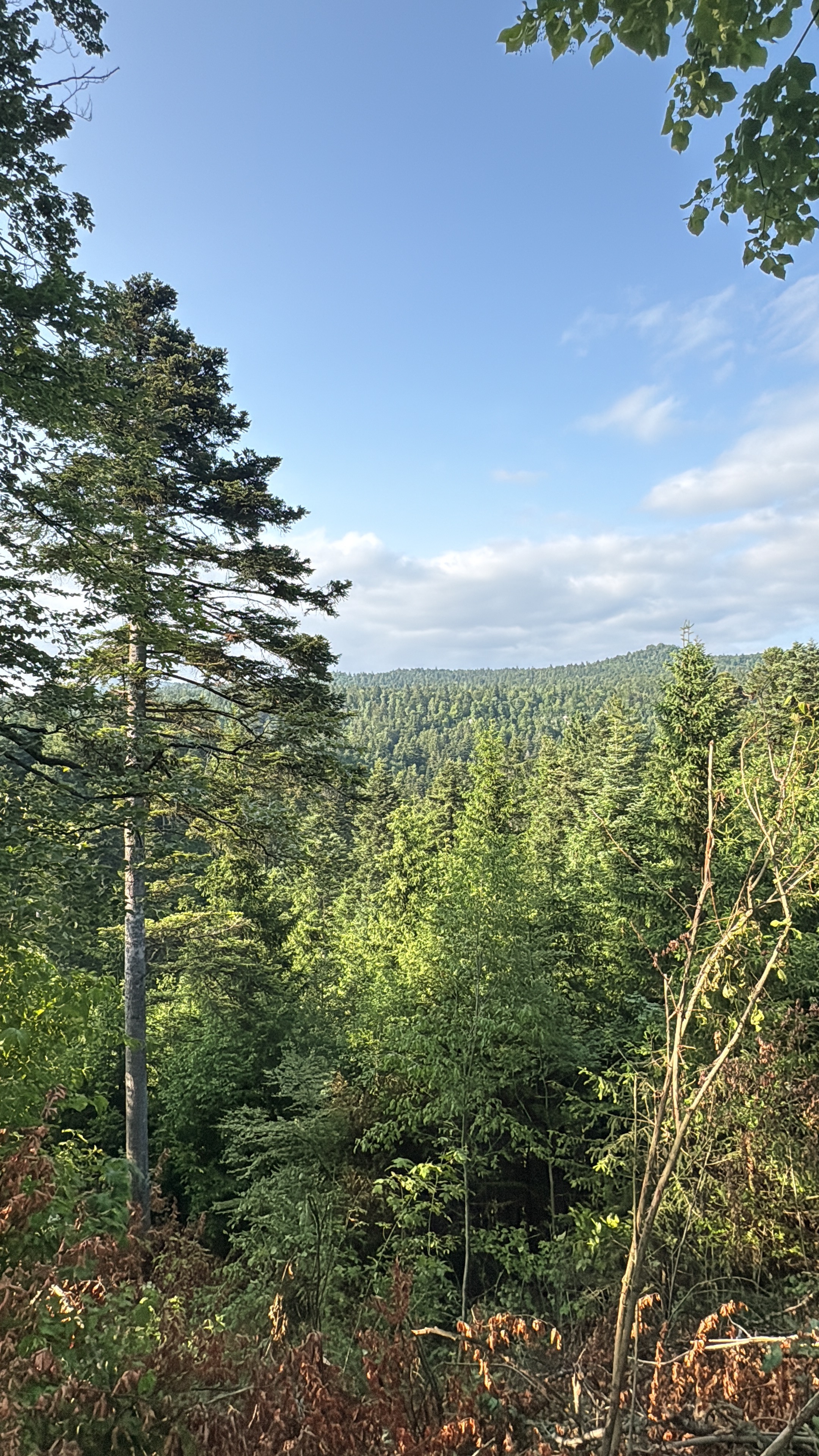Photo 7 de l’itinéraire Bikemap « Titov trg, Postojna a Titov trg, Postojna »