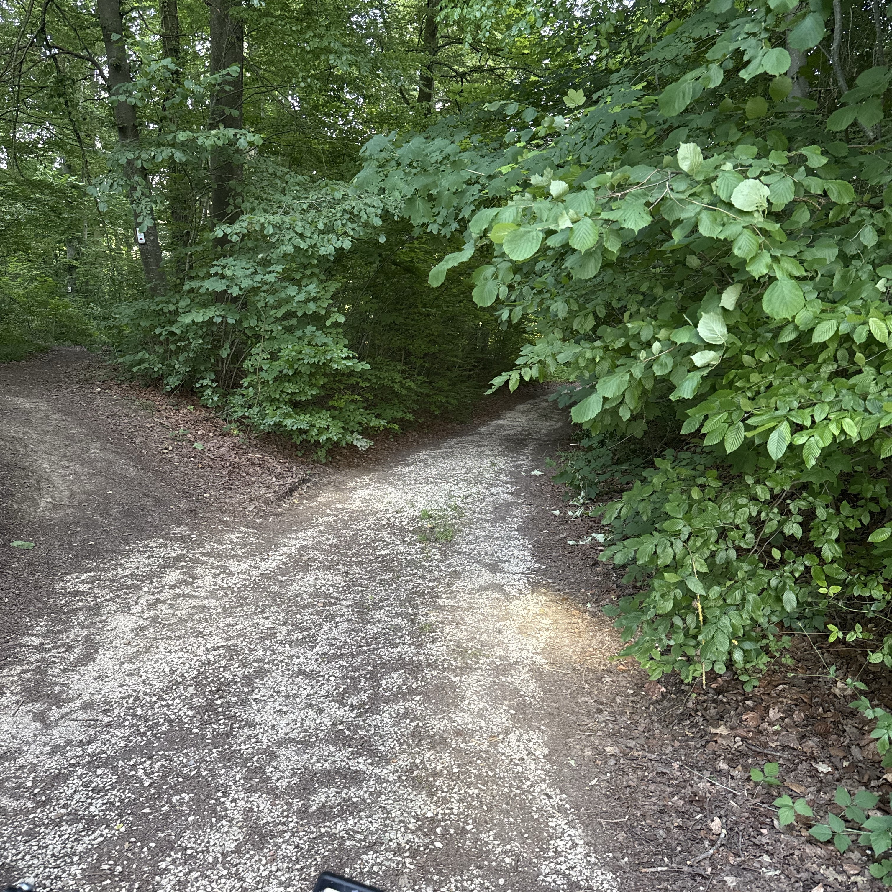 Foto 7 der Bikemap-Route "Erkenbrechtsweiler nach Ulm"