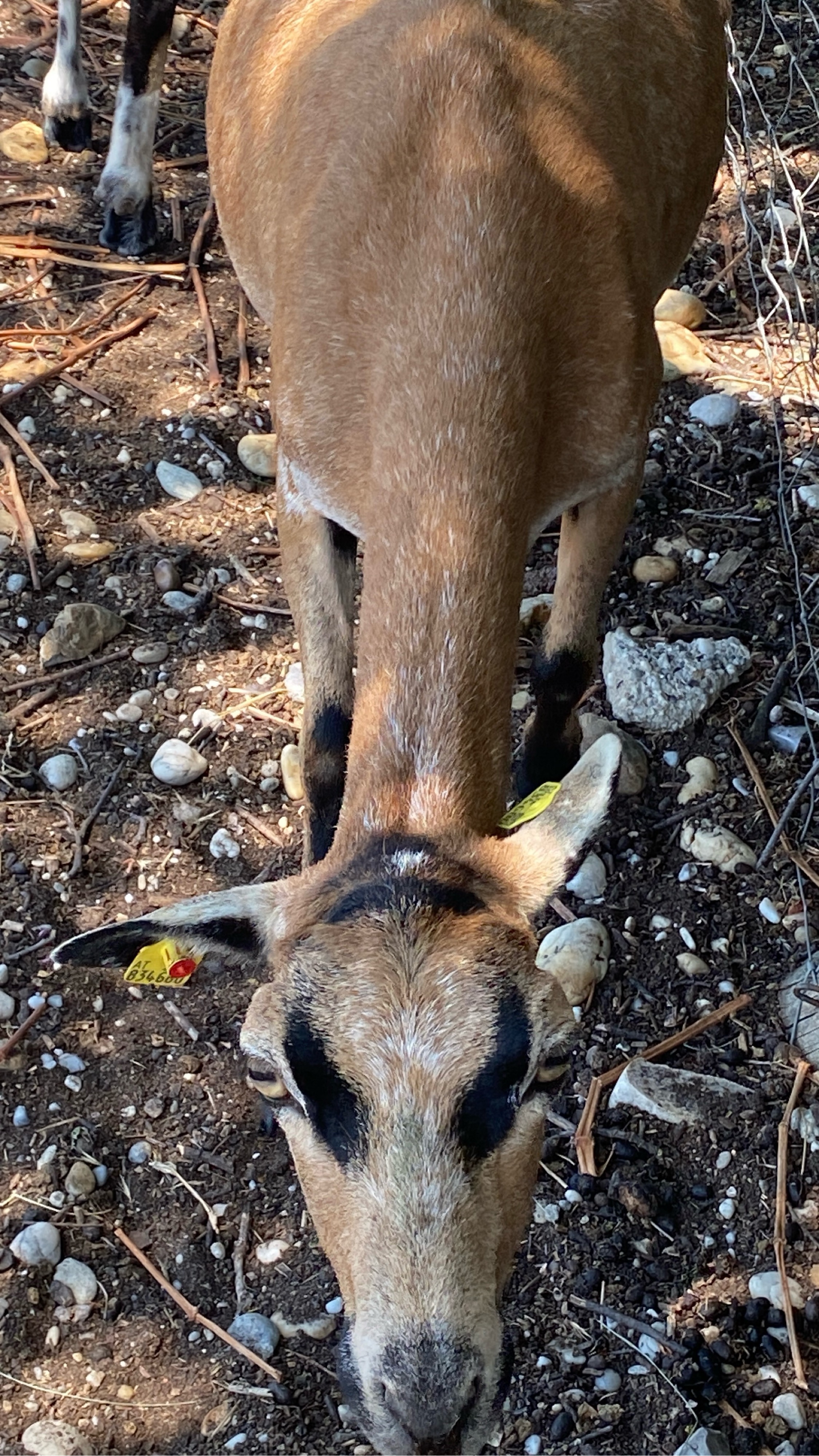 Foto 7 der Bikemap-Route "L428, Illmic - Untere Hauptstraße, Illmic"