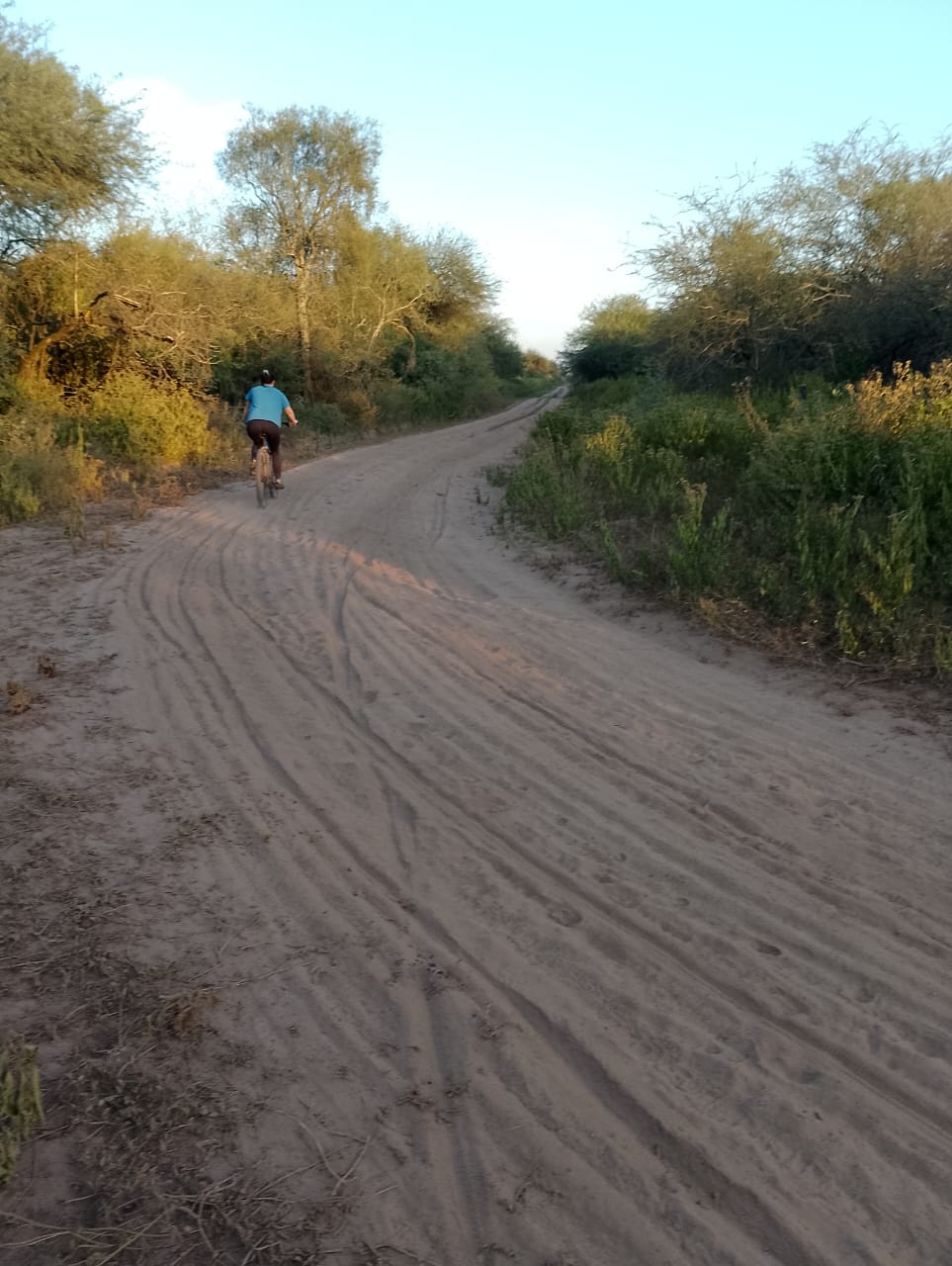 Paseo lento