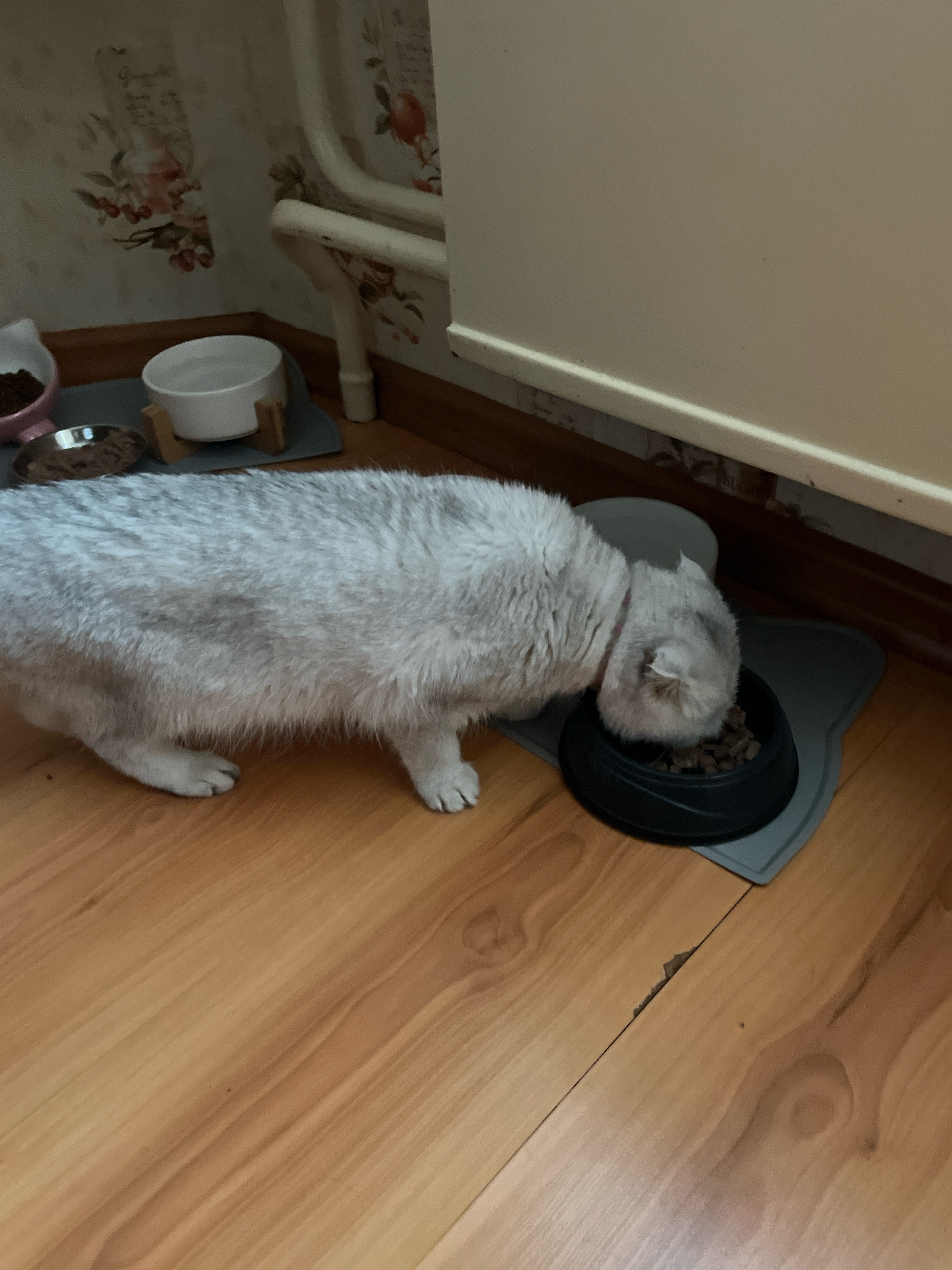 улица Михаила Миля, Минск до улица Михаила Миля, Минск