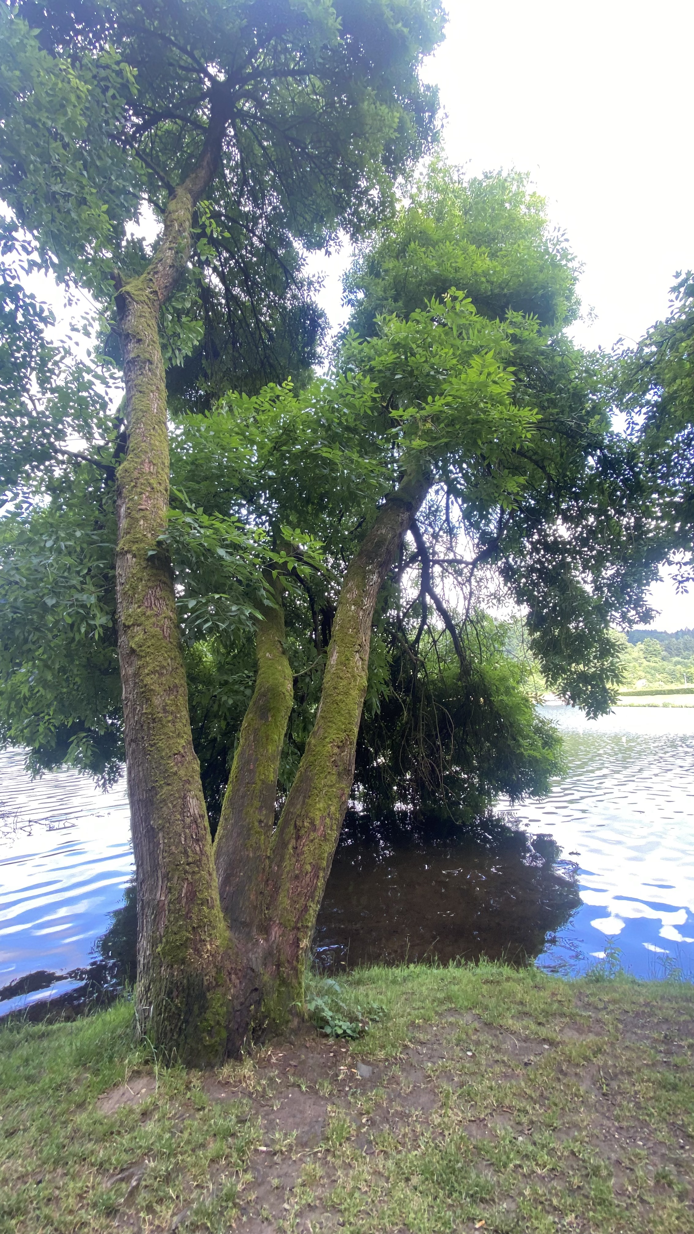 Kolpingstraße, Ольпе до Kolpingstraße, Ольпе