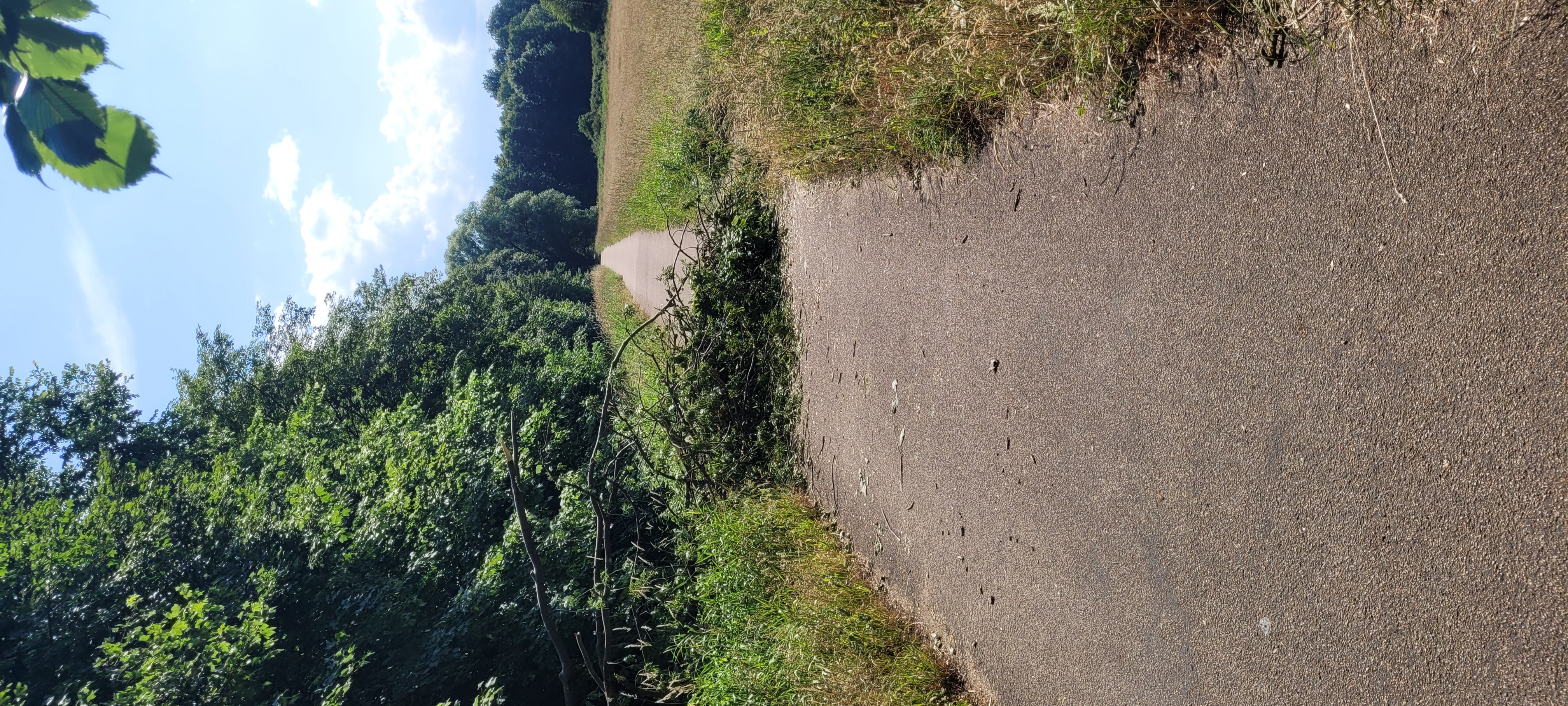 DGZ-Ring nach Röbellweg