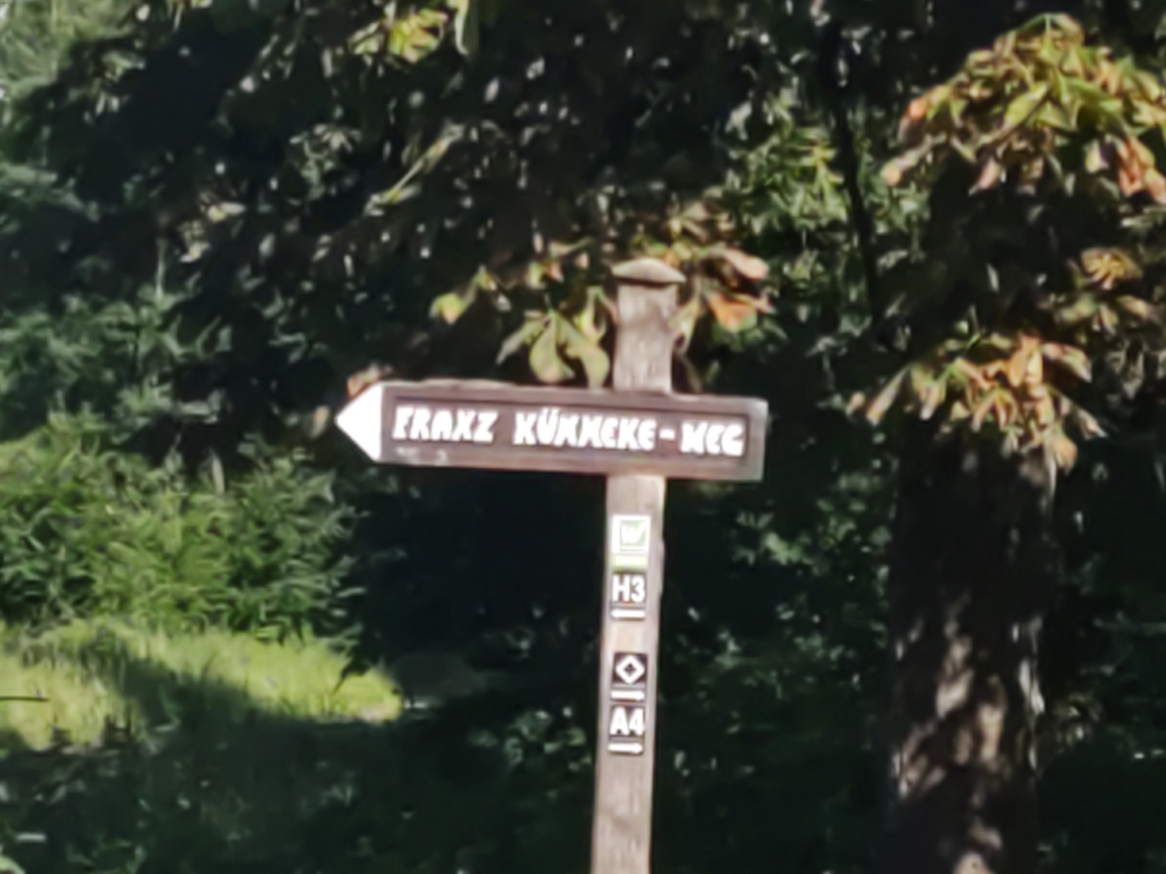 Foto 7 der Bikemap-Route "MTB-,Tour 🚵, Oeventrop, Lattenberg, Fahne, Plackeg, Gießmecke,Freienkohl,Rümmeke,Hellefelder Höhe,Windpark, Oeventrop."